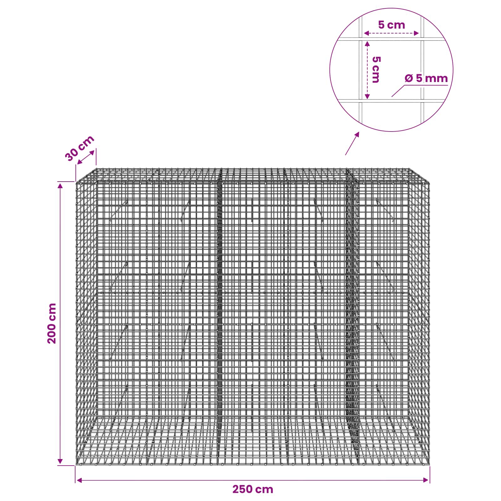Gabion z žico 5 mm in mrežo 5x5 cm 250x30x200 cm