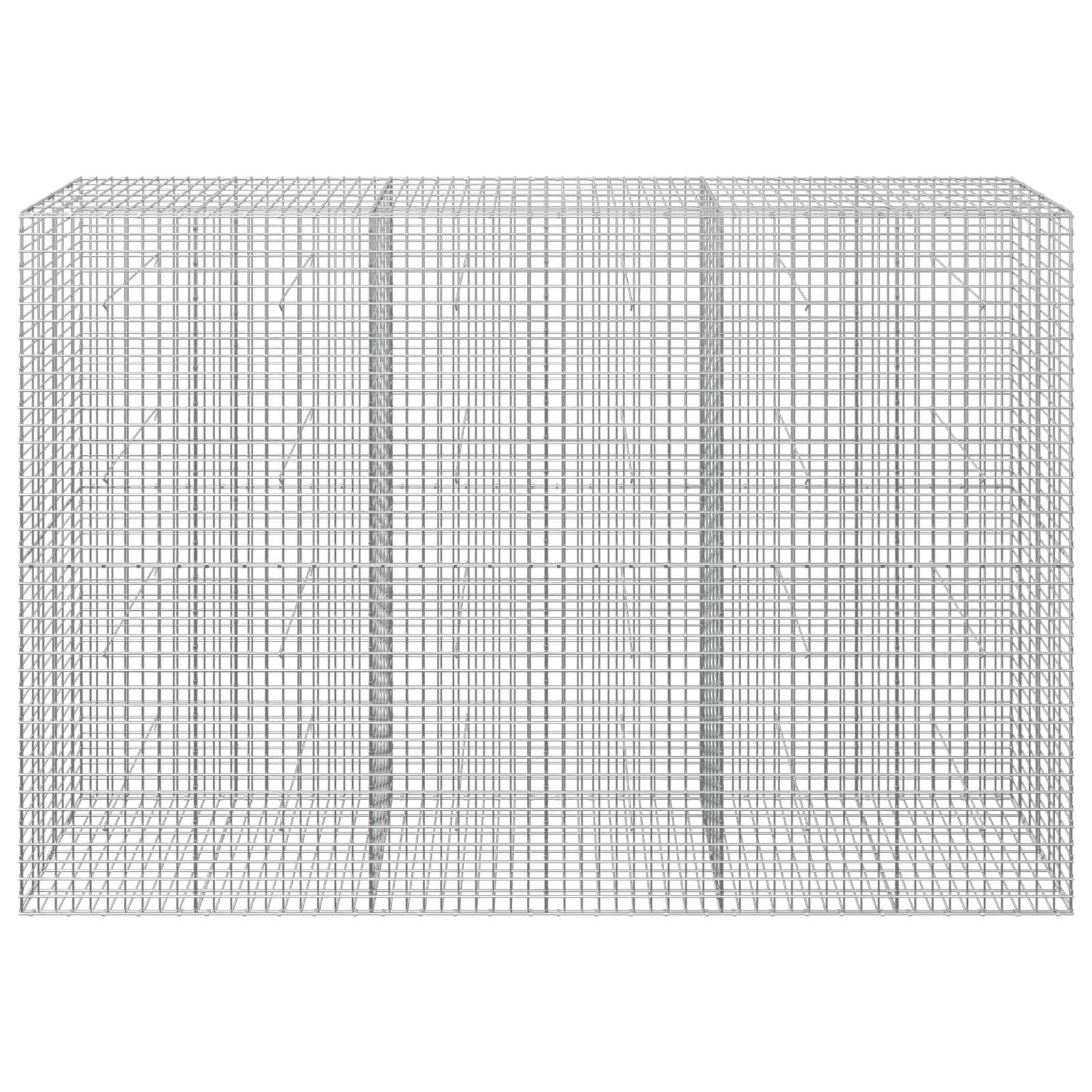 Gabion z žico 5 mm in mrežo 5x5 cm 300x30x200 cm