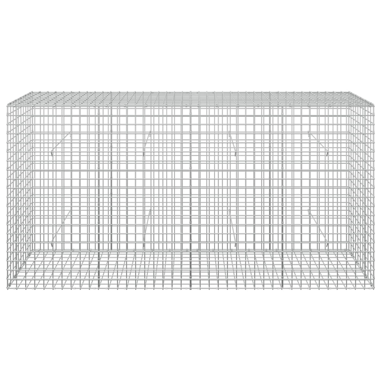 Gabion z žico 5 mm in mrežo 5x5 cm 200x50x100 cm