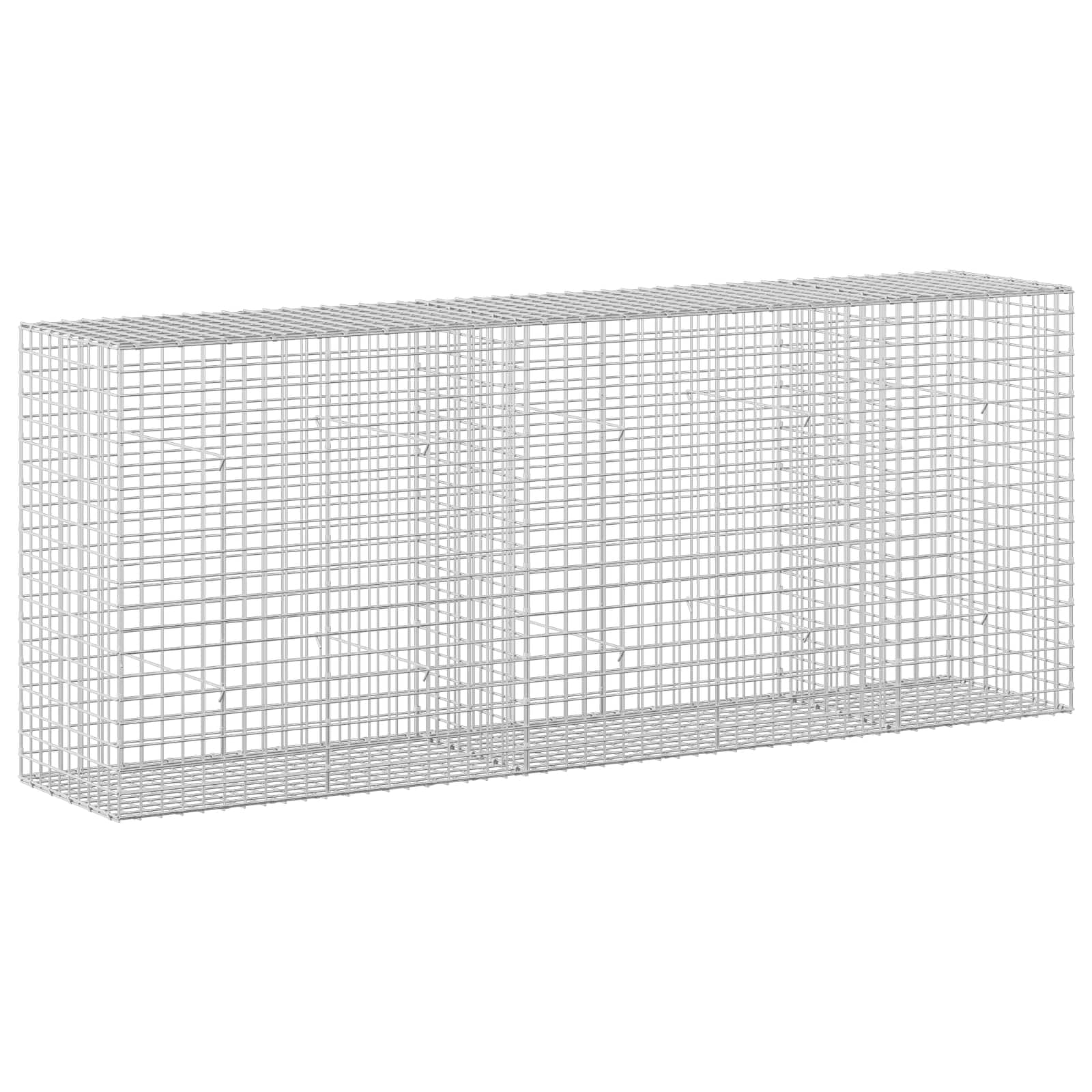 Gabion z žico 5 mm in mrežo 5x5 cm 250x50x100 cm