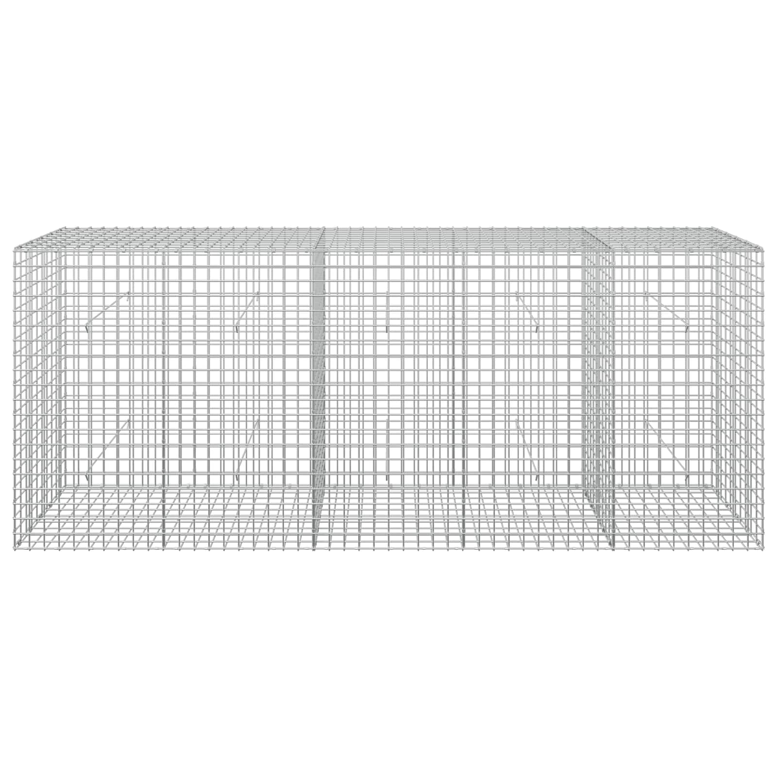 Gabion z žico 5 mm in mrežo 5x5 cm 250x50x100 cm