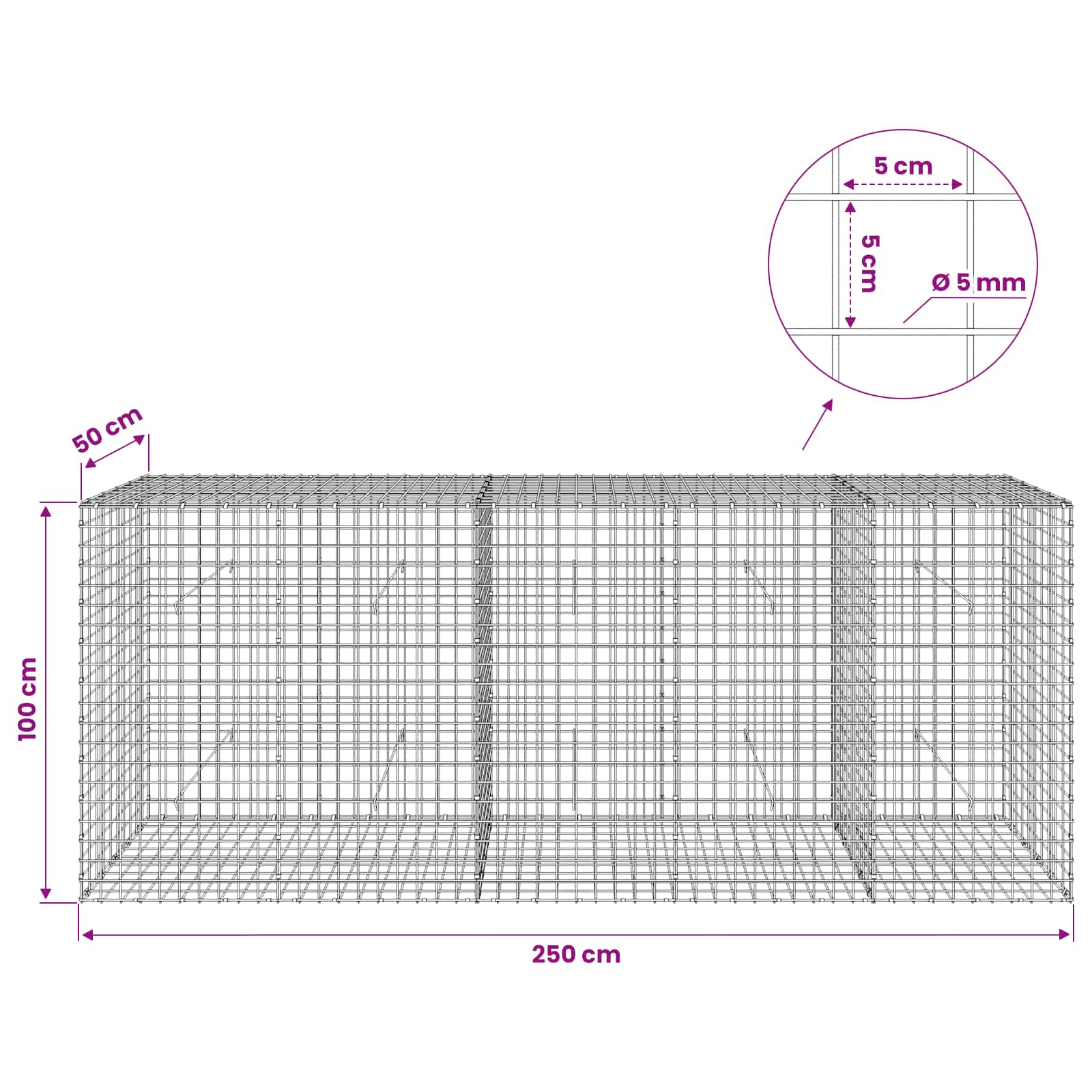 Gabion z žico 5 mm in mrežo 5x5 cm 250x50x100 cm