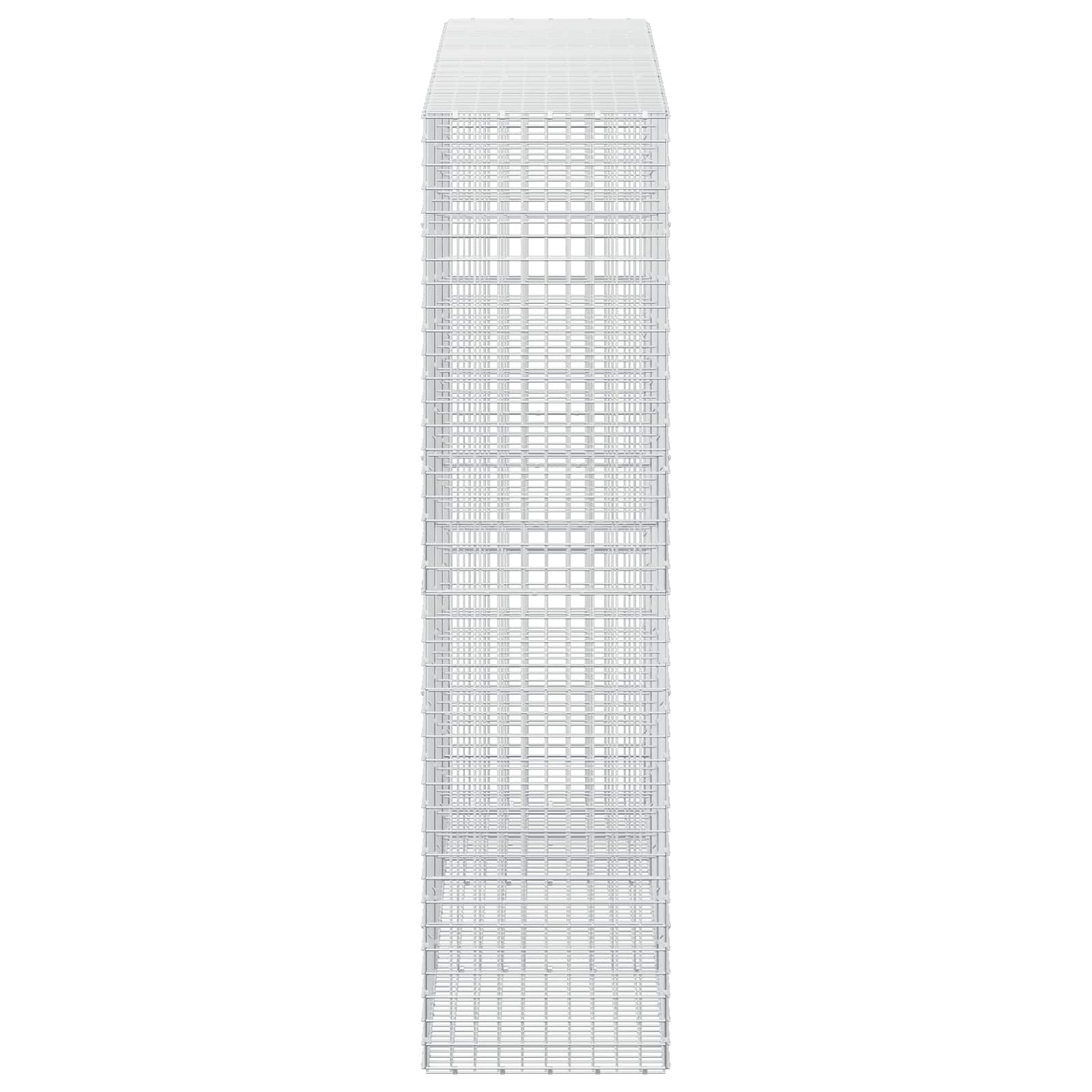 Gabion z žico 5 mm in mrežo 5x5 cm 300x50x200 cm
