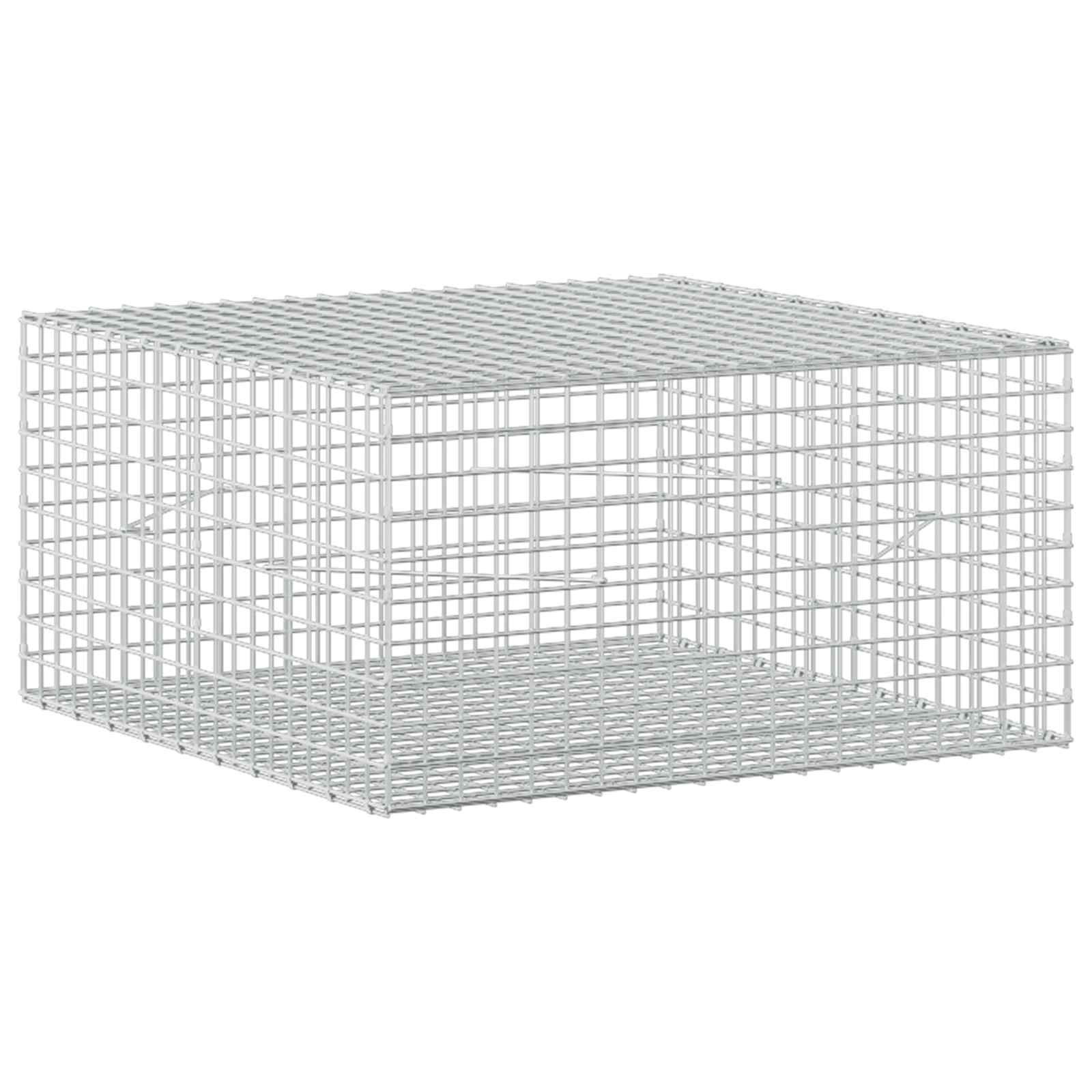 Gabion z žico 5 mm in mrežo 5x5 cm 100x100x50 cm