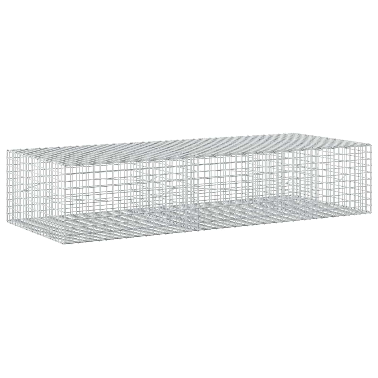 Gabion z žico 5 mm in mrežo 5x5 cm 250x100x50 cm