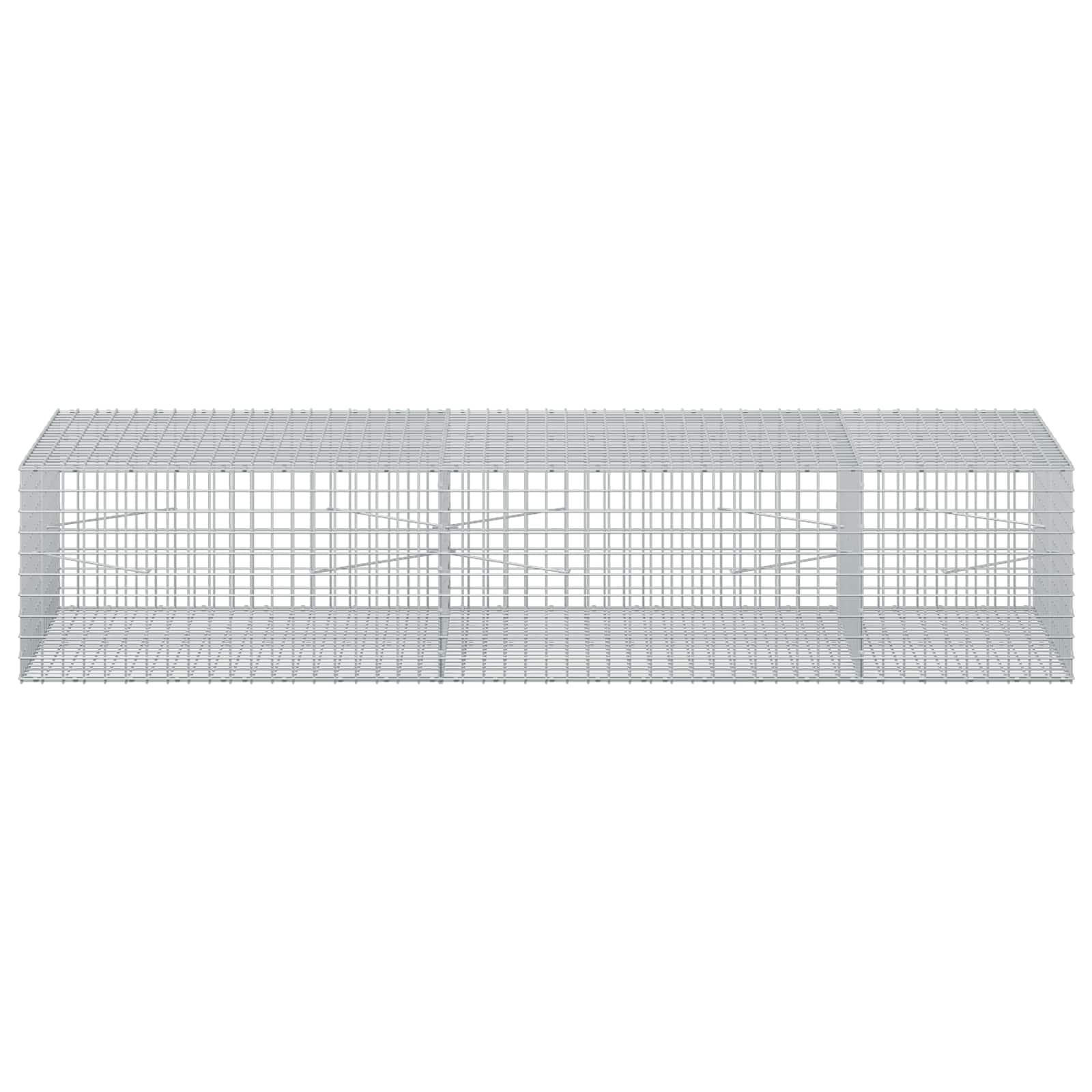 Gabion z žico 5 mm in mrežo 5x5 cm 250x100x50 cm