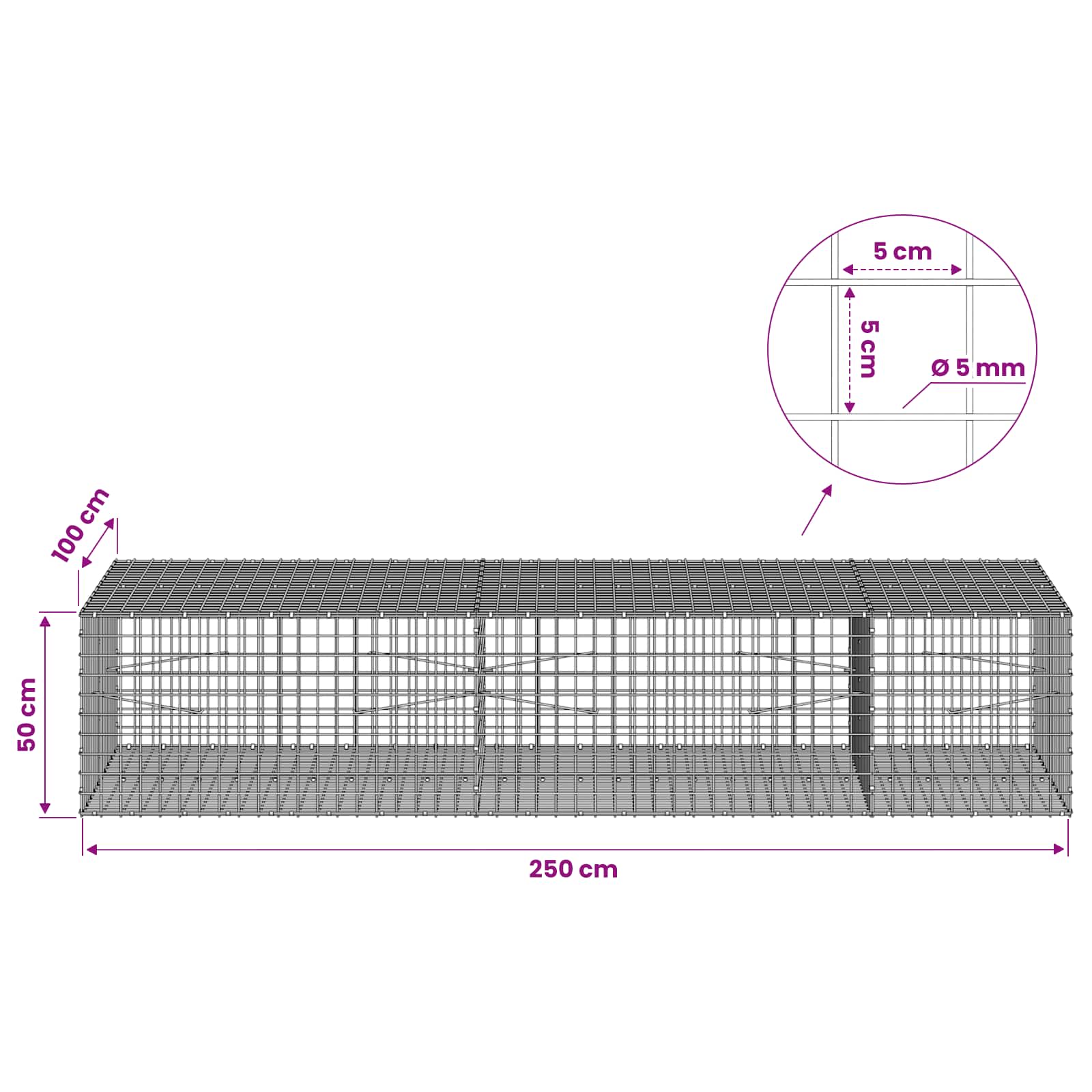 Gabion z žico 5 mm in mrežo 5x5 cm 250x100x50 cm