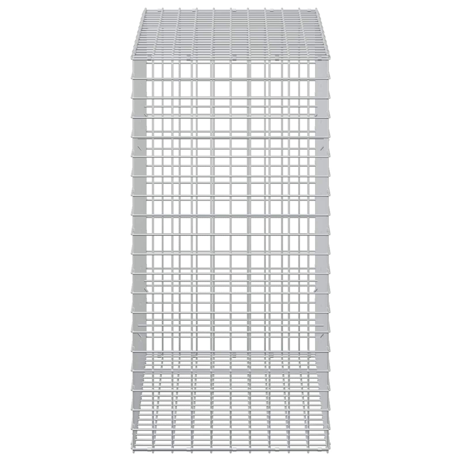 Gabion z žico 5 mm in mrežo 5x5 cm 50x100x100 cm
