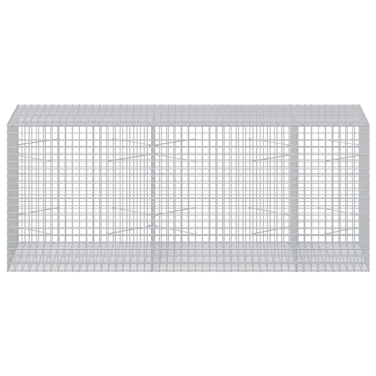 Gabion z žico 5 mm in mrežo 5x5 cm 250x100x100 cm