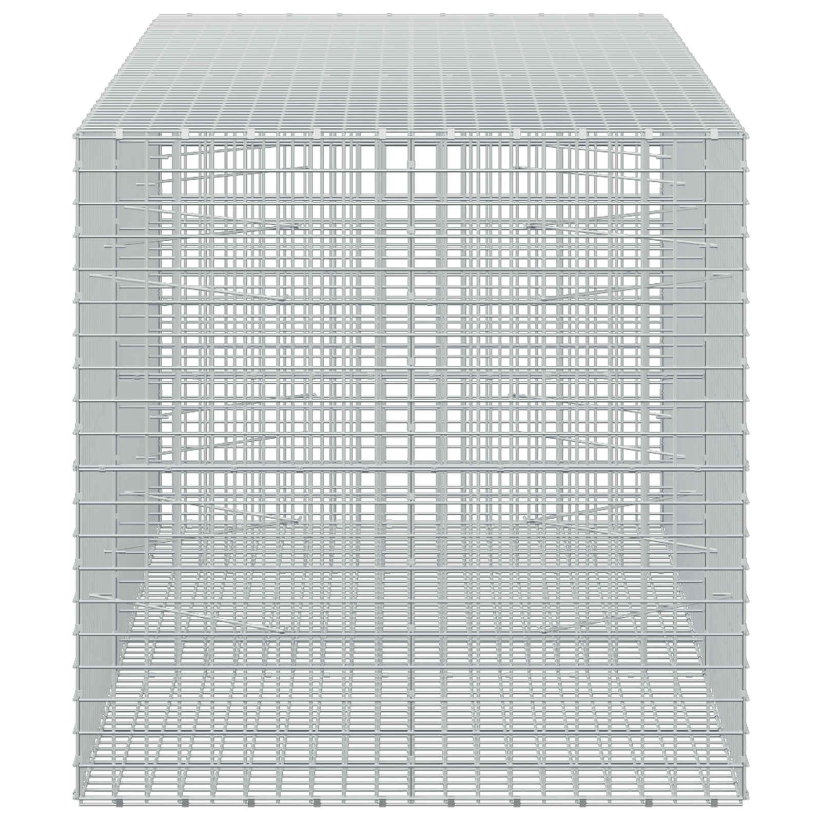 Gabion z žico 5 mm in mrežo 5x5 cm 250x100x100 cm