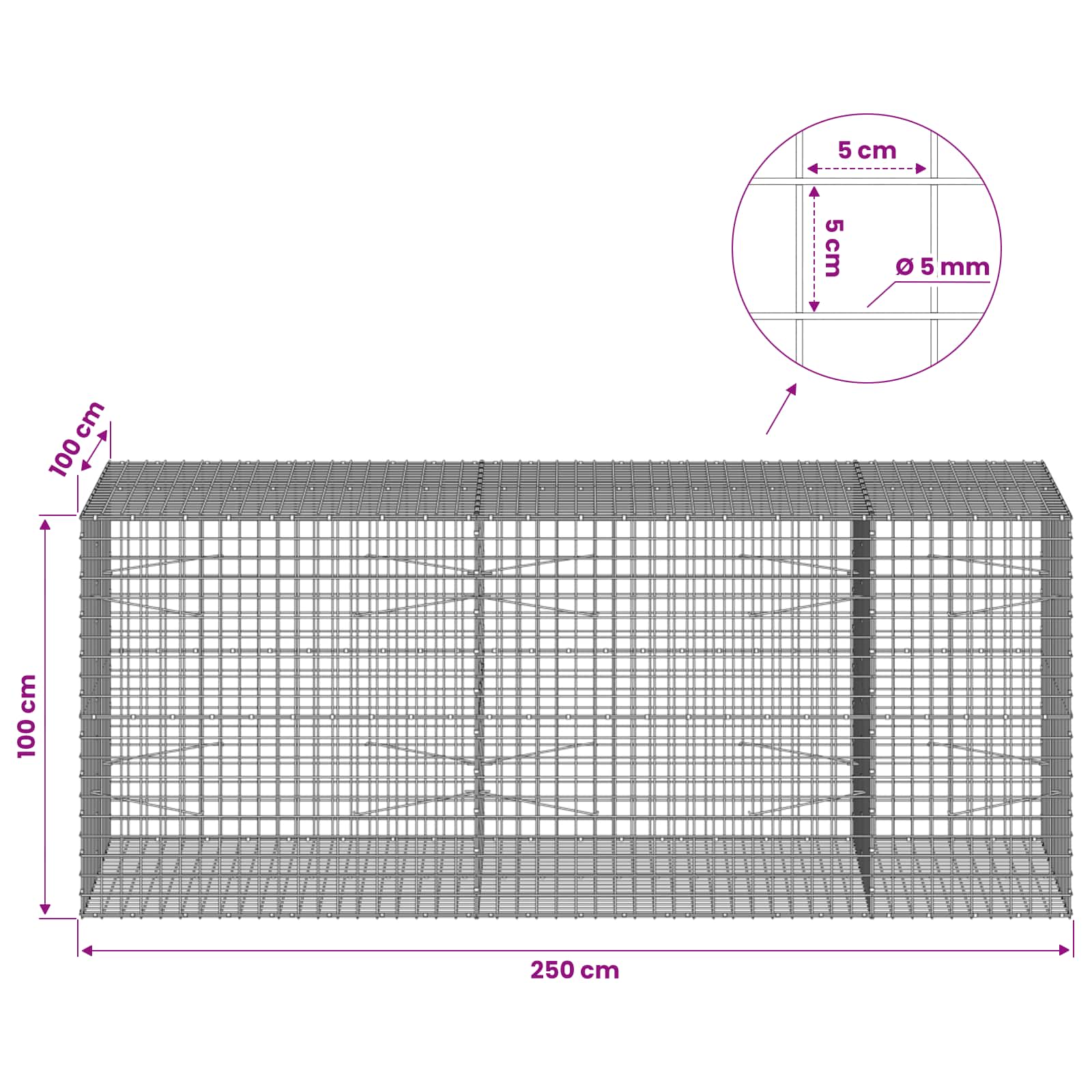 Gabion z žico 5 mm in mrežo 5x5 cm 250x100x100 cm