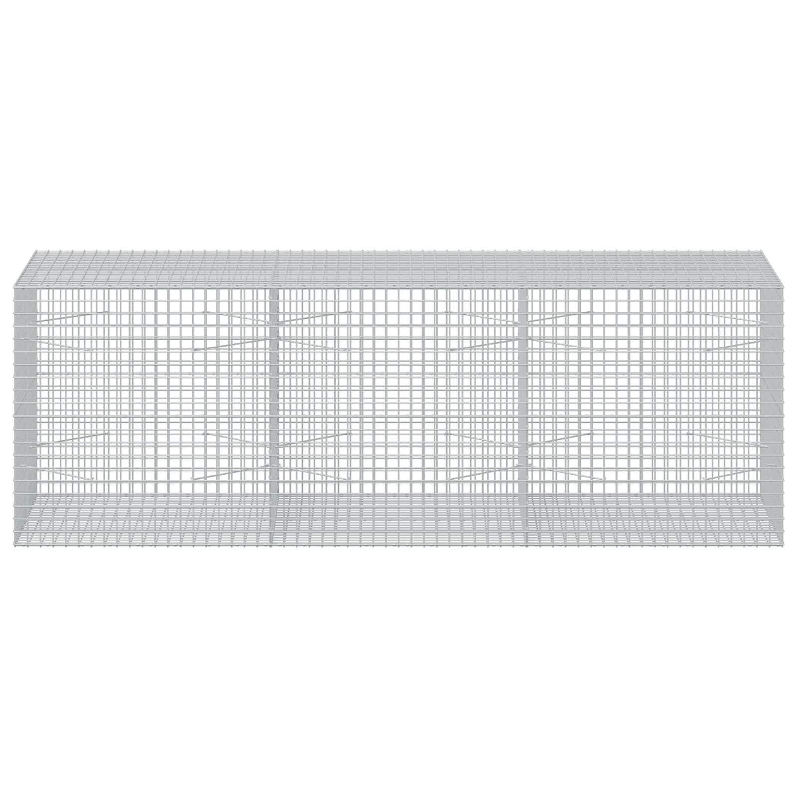 Gabion z žico 5 mm in mrežo 5x5 cm 300x100x100 cm