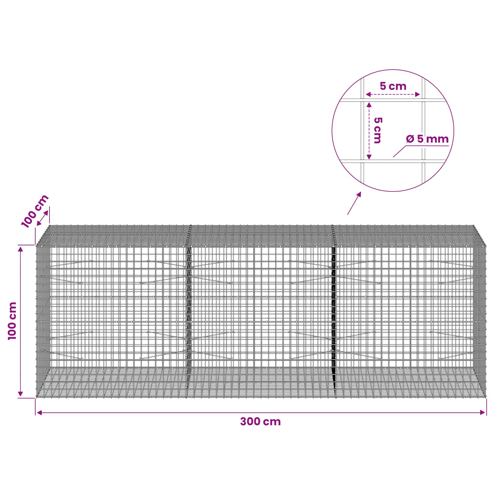 Gabion z žico 5 mm in mrežo 5x5 cm 300x100x100 cm