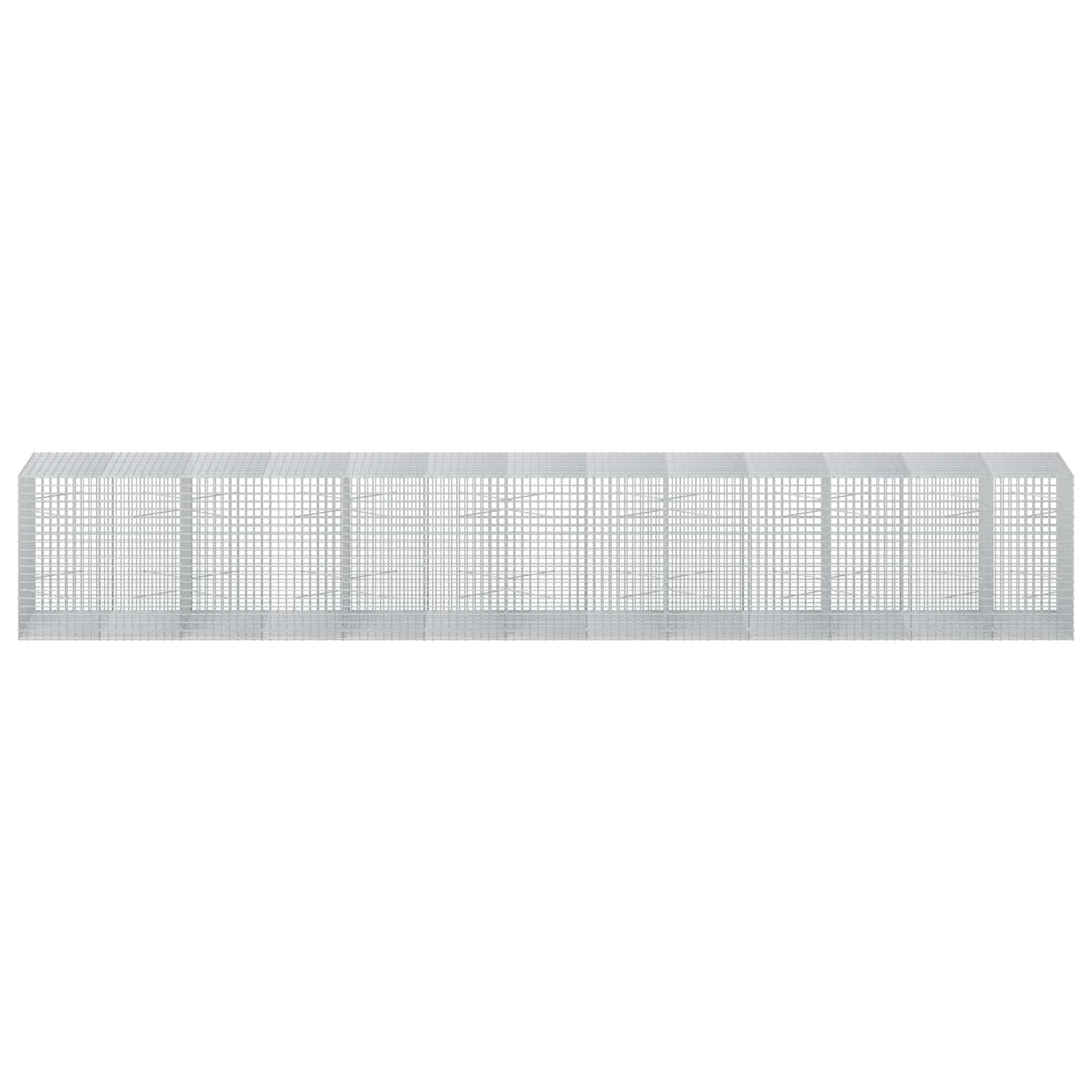 Gabion z žico 5 mm in mrežo 5x5 cm 650x100x100 cm