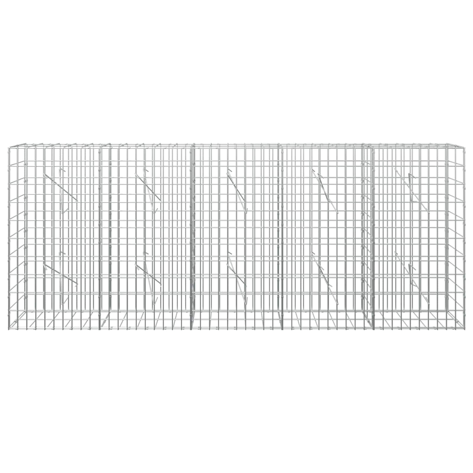 Gabion z žico 5 mm in mrežo 5x10 cm 250x10x100 cm