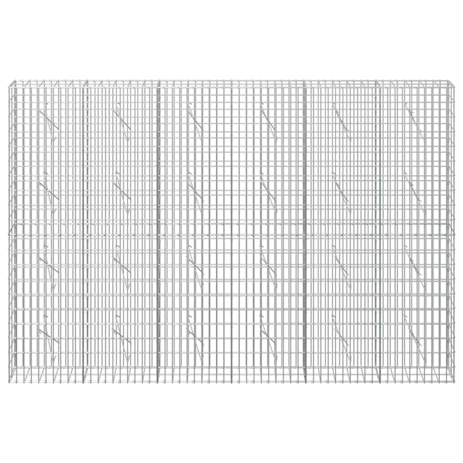 Gabion z žico 5 mm in mrežo 5x10 cm 300x10x200 cm