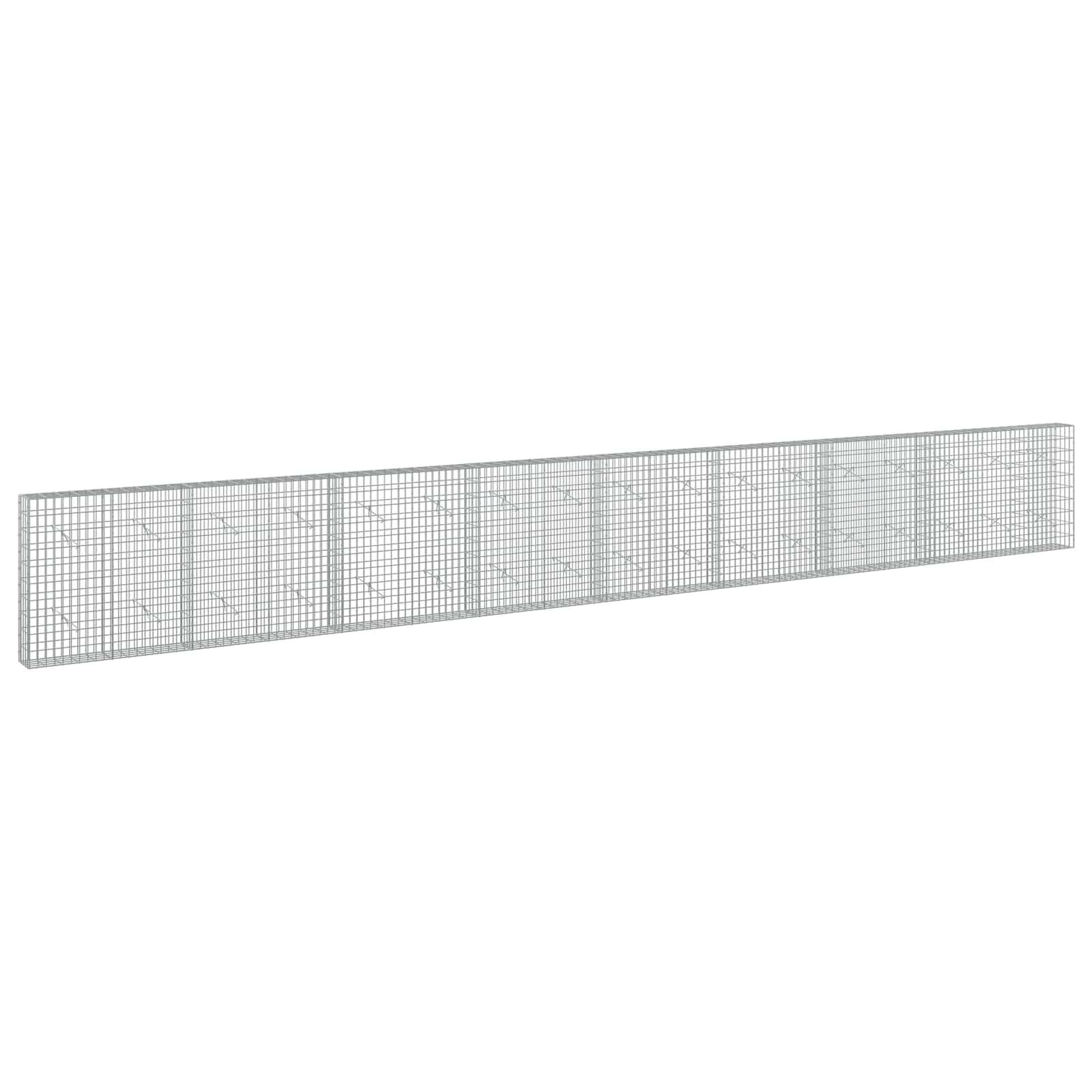 vidaXL Gabion s drátem 5 mm a síťkou 5x10 cm 850x20x100 cm