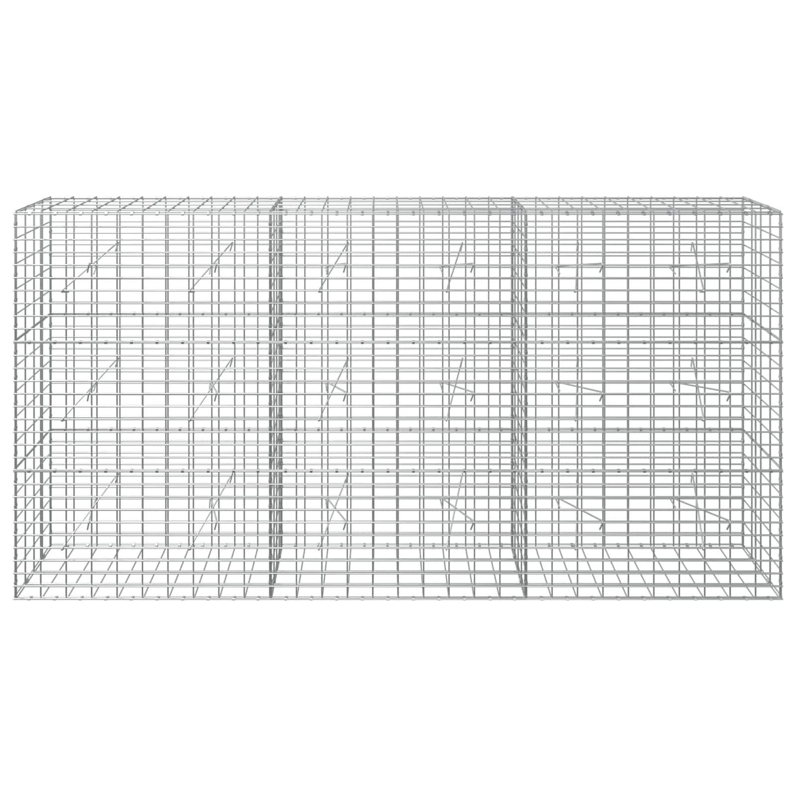 Gabion z žico 5 mm in mrežo 5x10 cm 300x20x150 cm