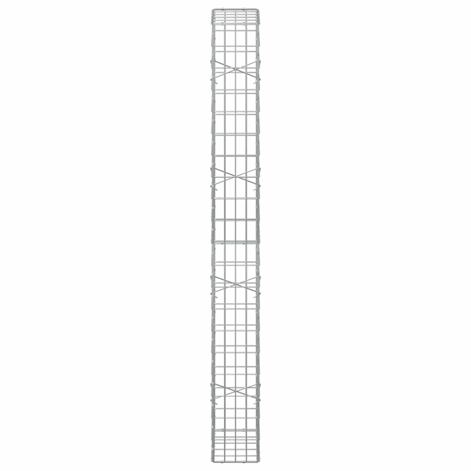 Gabion z žico 5 mm in mrežo 5x10 cm 50x20x200 cm