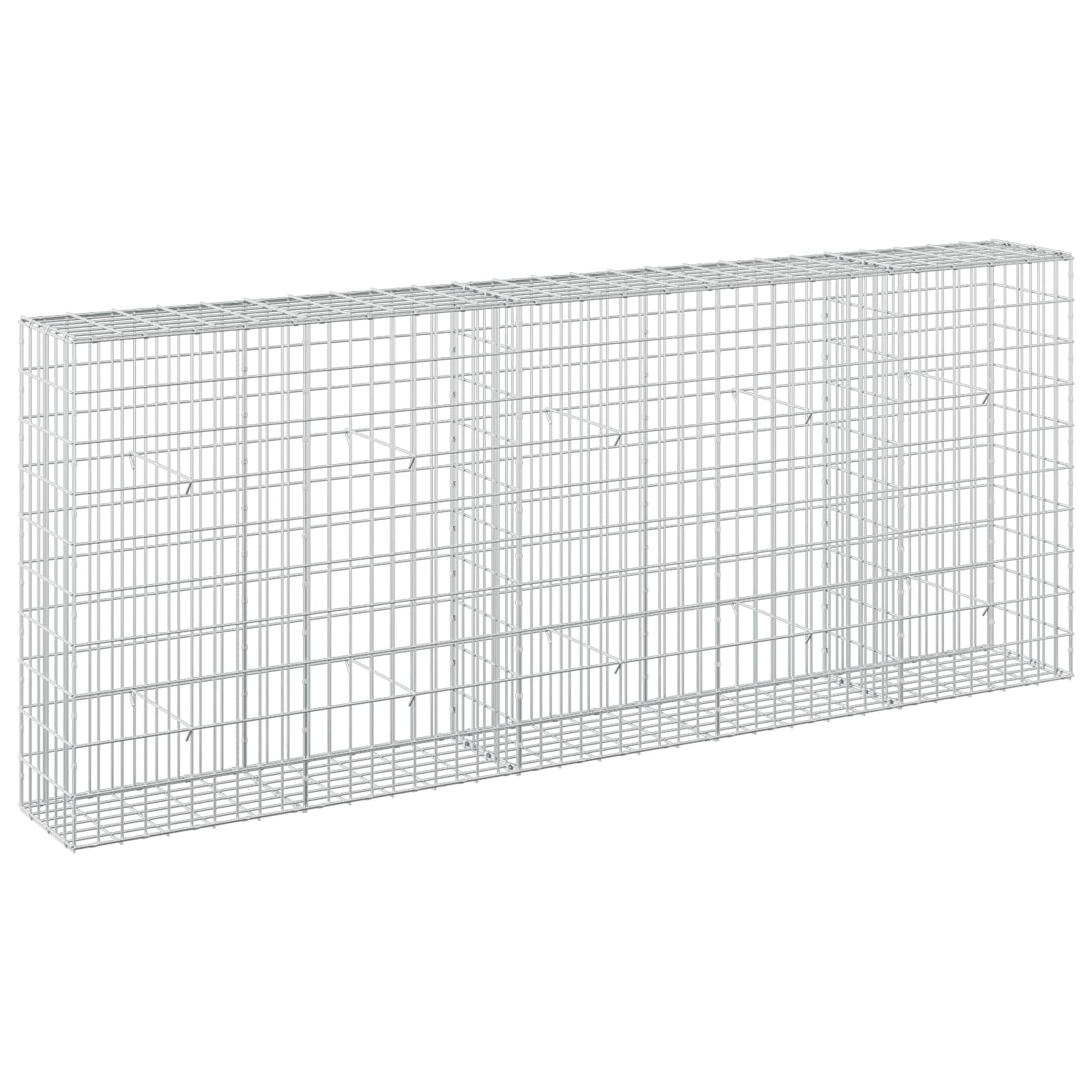 Gabion z žico 5 mm in mrežo 5x10 cm 250x30x100 cm
