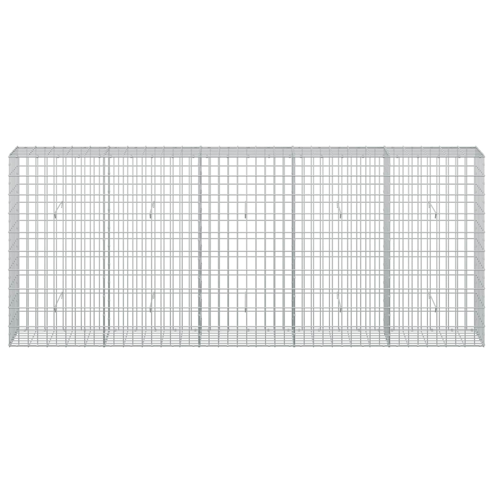 Gabion z žico 5 mm in mrežo 5x10 cm 250x30x100 cm