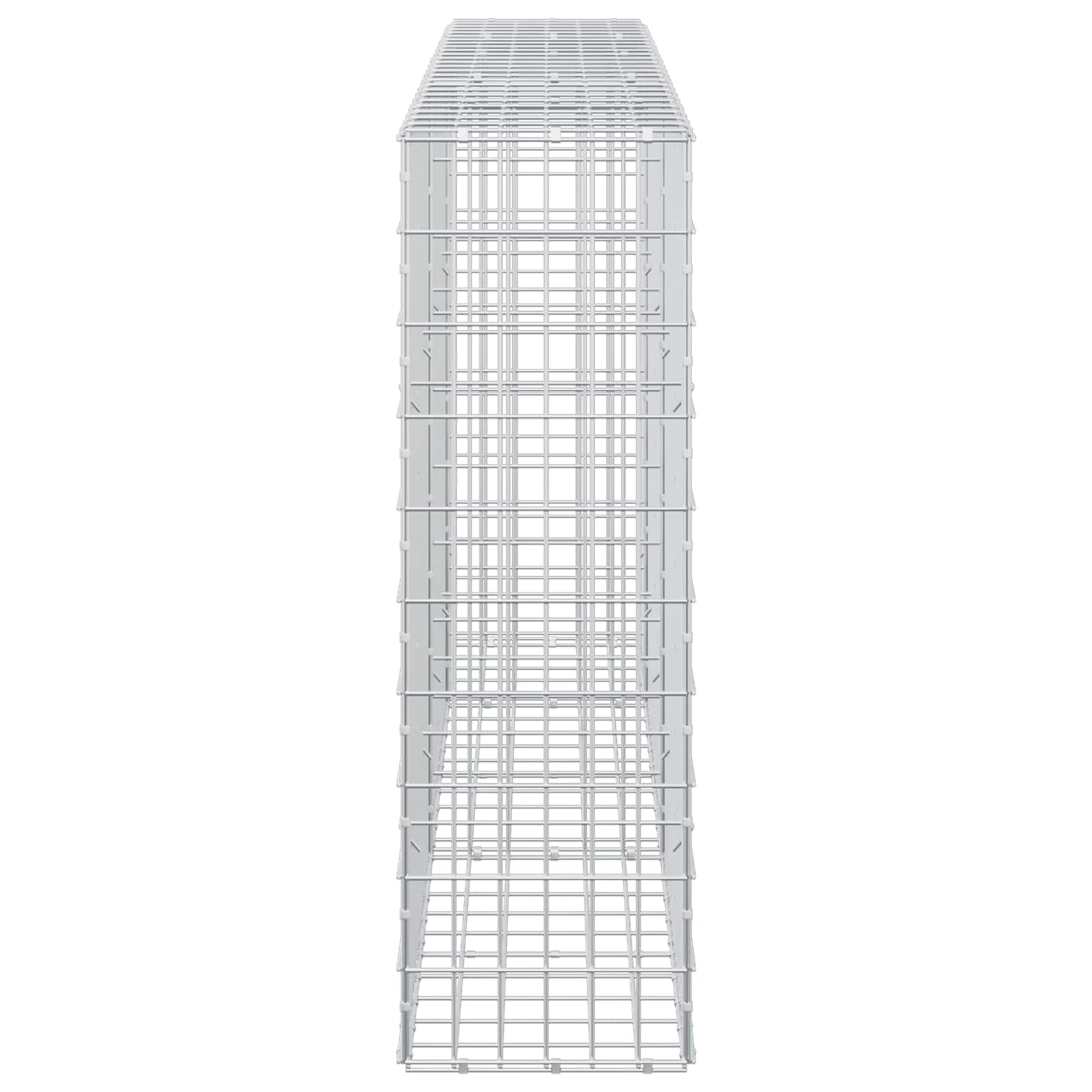 Gabion z žico 5 mm in mrežo 5x10 cm 250x30x100 cm