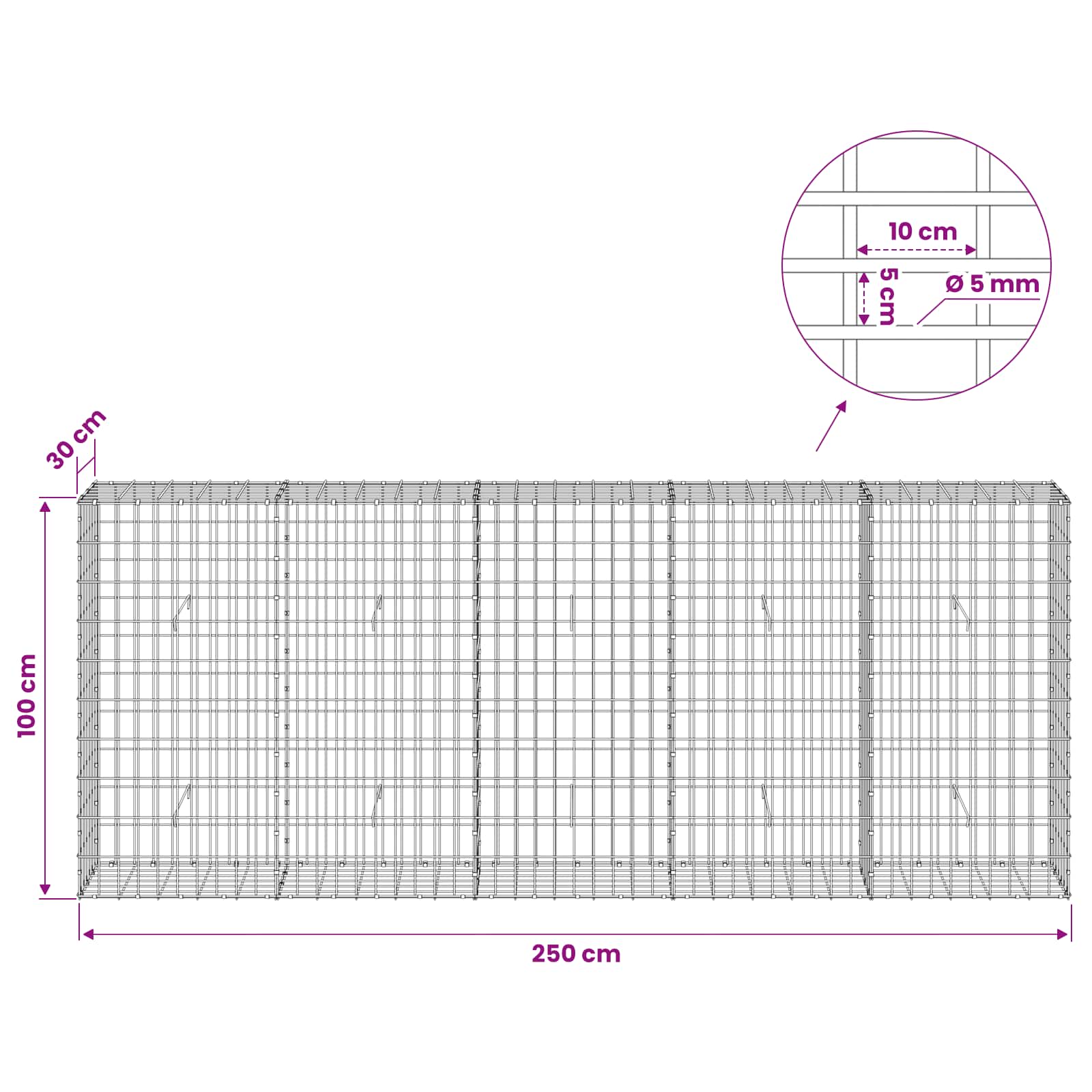 Gabion z žico 5 mm in mrežo 5x10 cm 250x30x100 cm