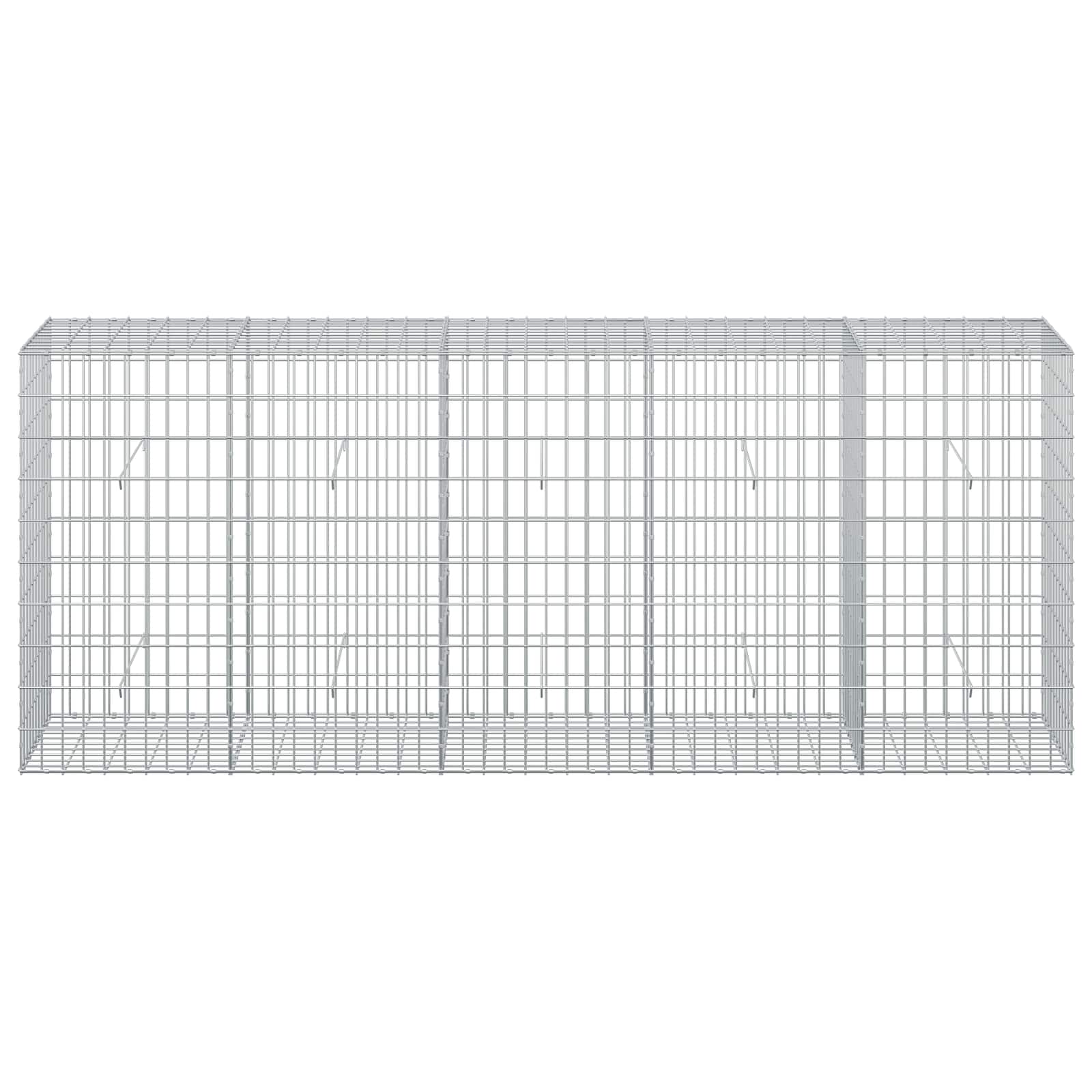Gabion z žico 5 mm in mrežo 5x10 cm 250x50x100 cm