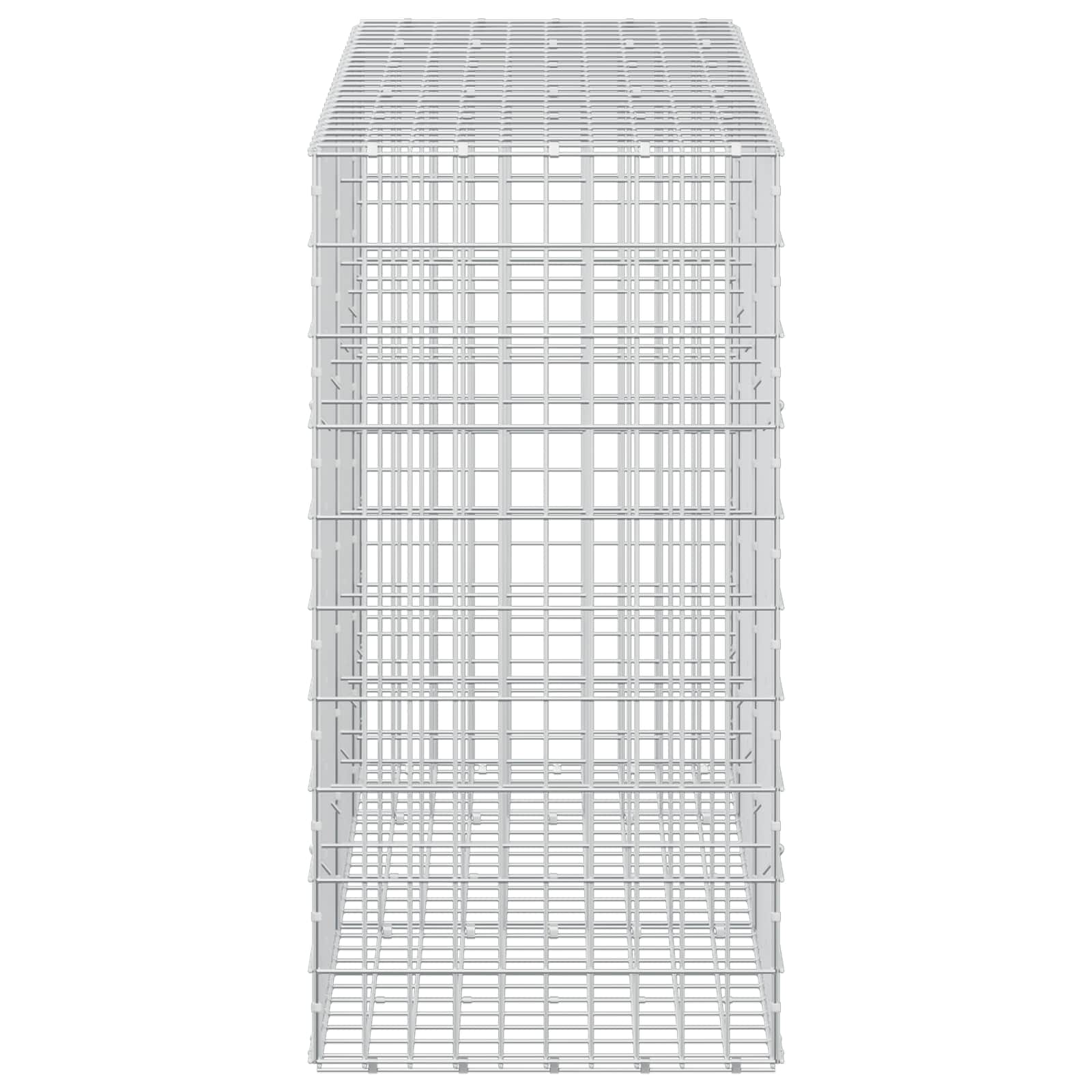 Gabion z žico 5 mm in mrežo 5x10 cm 250x50x100 cm