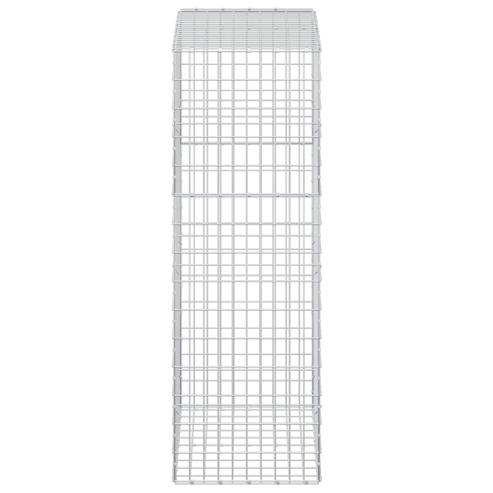 Gabion z žico 5 mm in mrežo 5x10 cm 100x50x150 cm