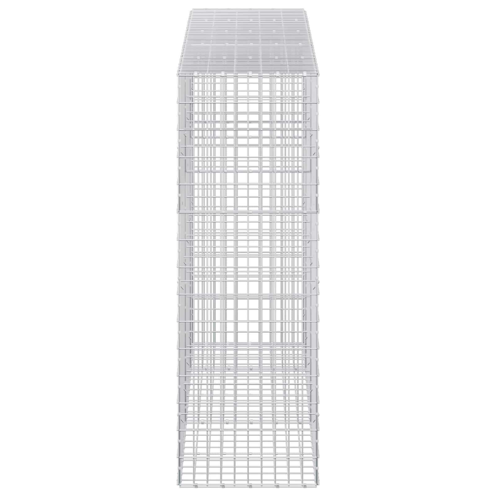 Gabion z žico 5 mm in mrežo 5x10 cm 250x50x150 cm