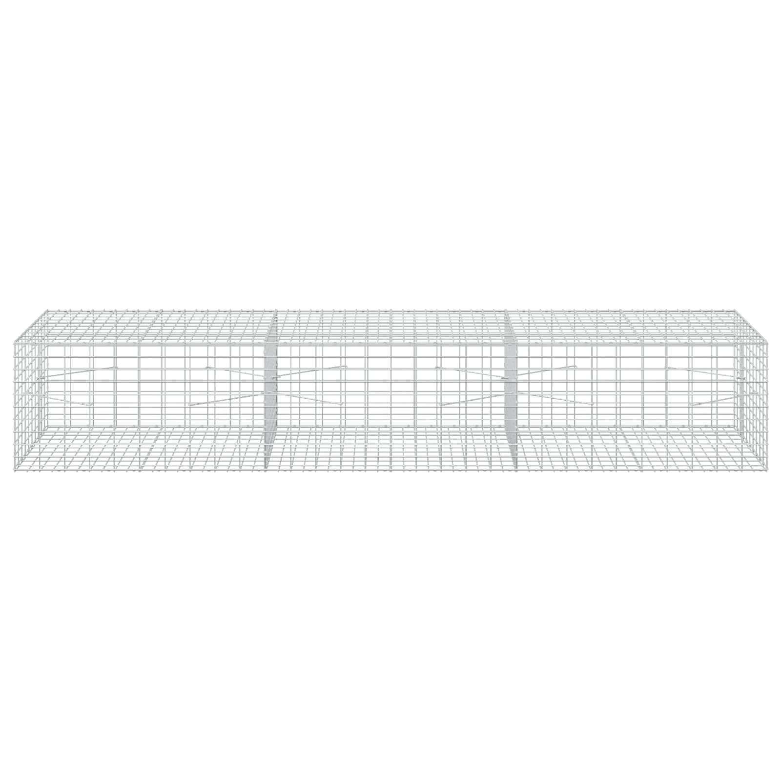 Gabion z žico 5 mm in mrežo 5x10 cm 300x100x50 cm