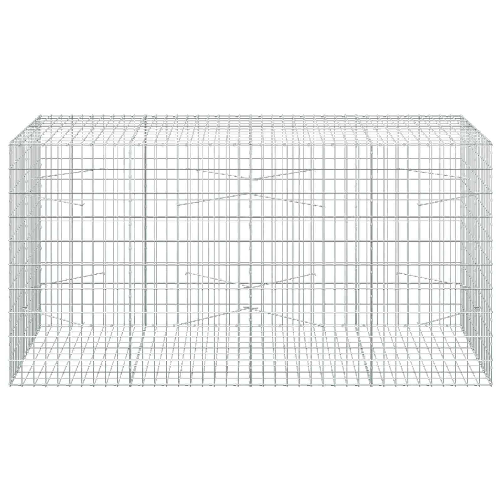 Gabion z žico 5 mm in mrežo 5x10 cm 200x100x100 cm