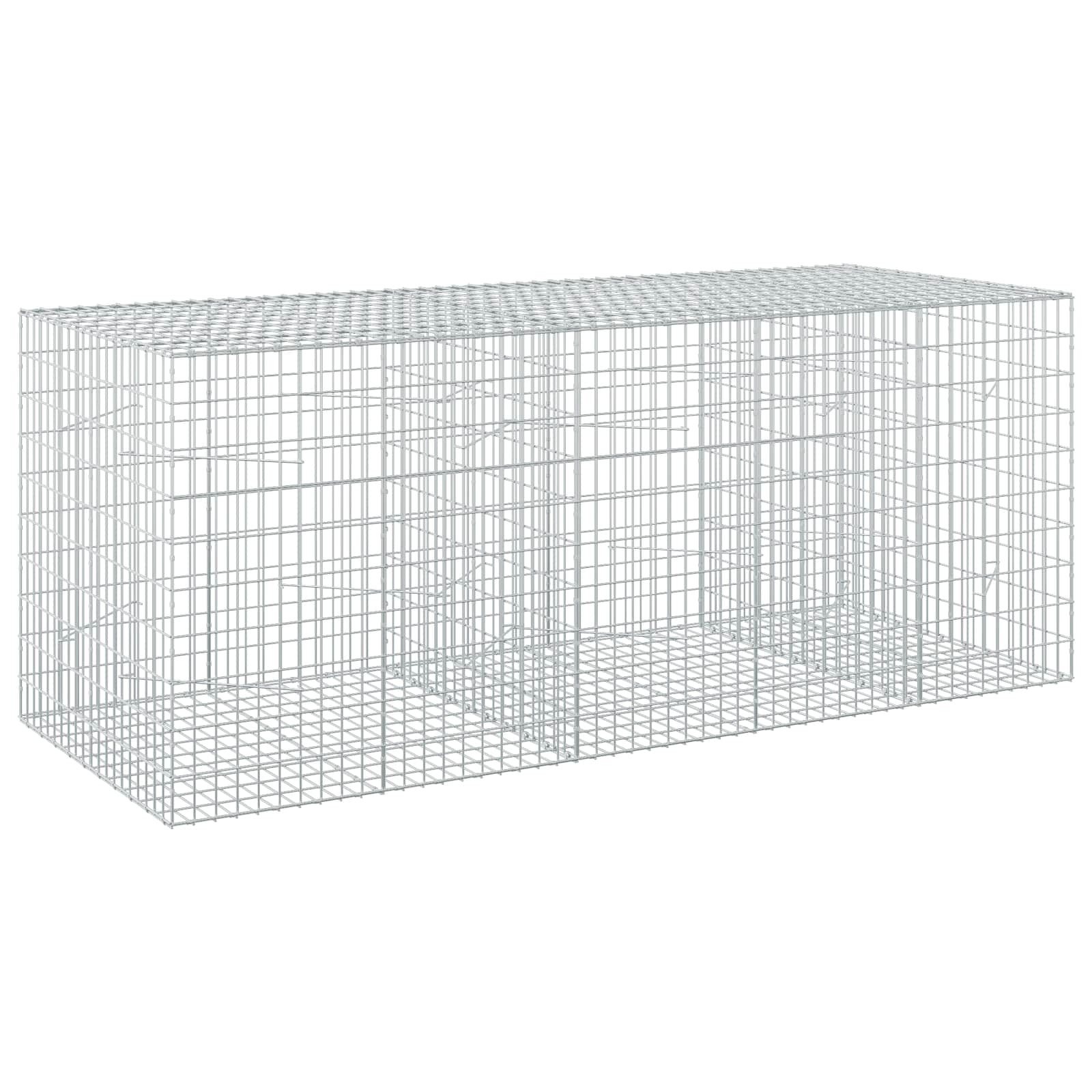 Gabion z žico 5 mm in mrežo 5x10 cm 250x100x100 cm