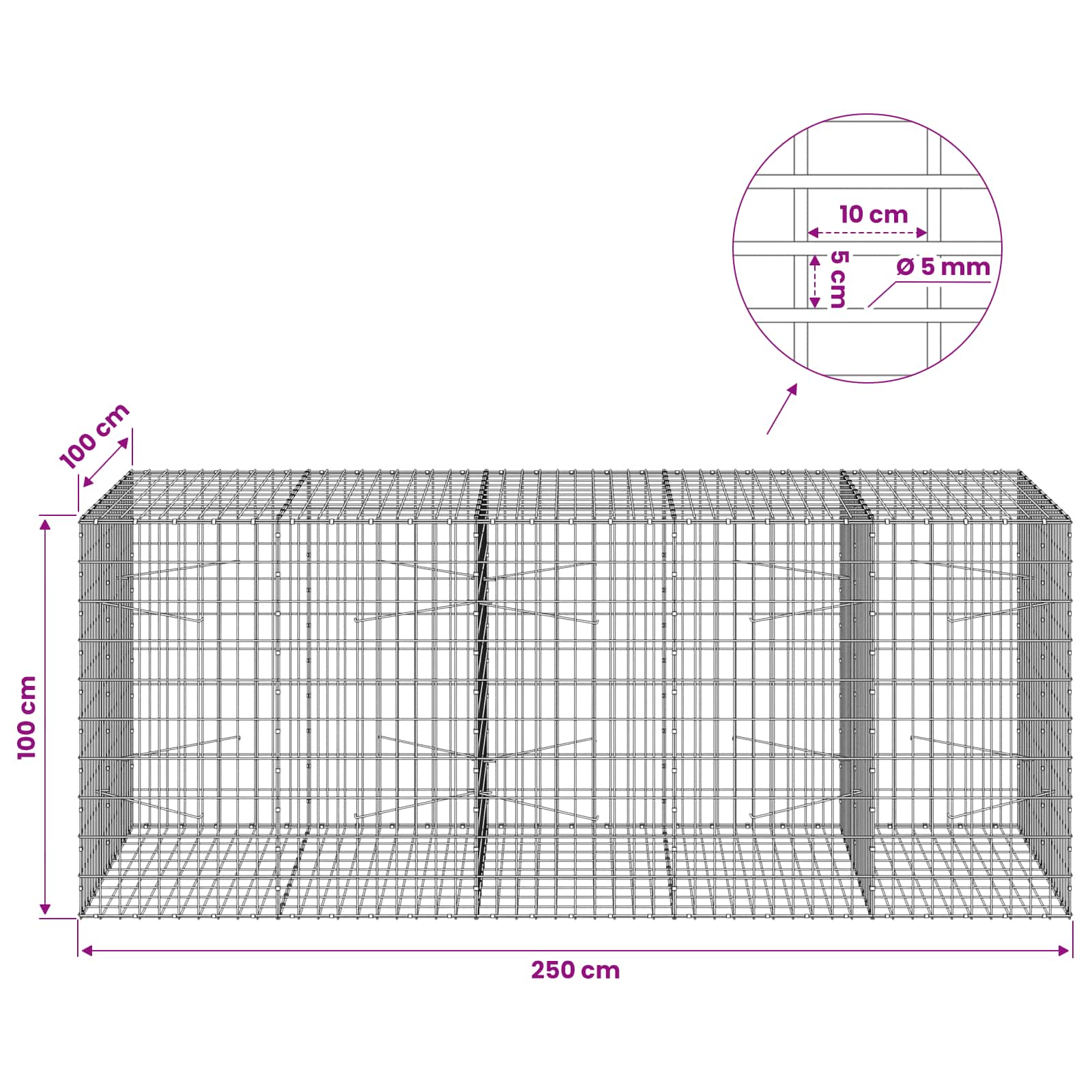 Gabion z žico 5 mm in mrežo 5x10 cm 250x100x100 cm