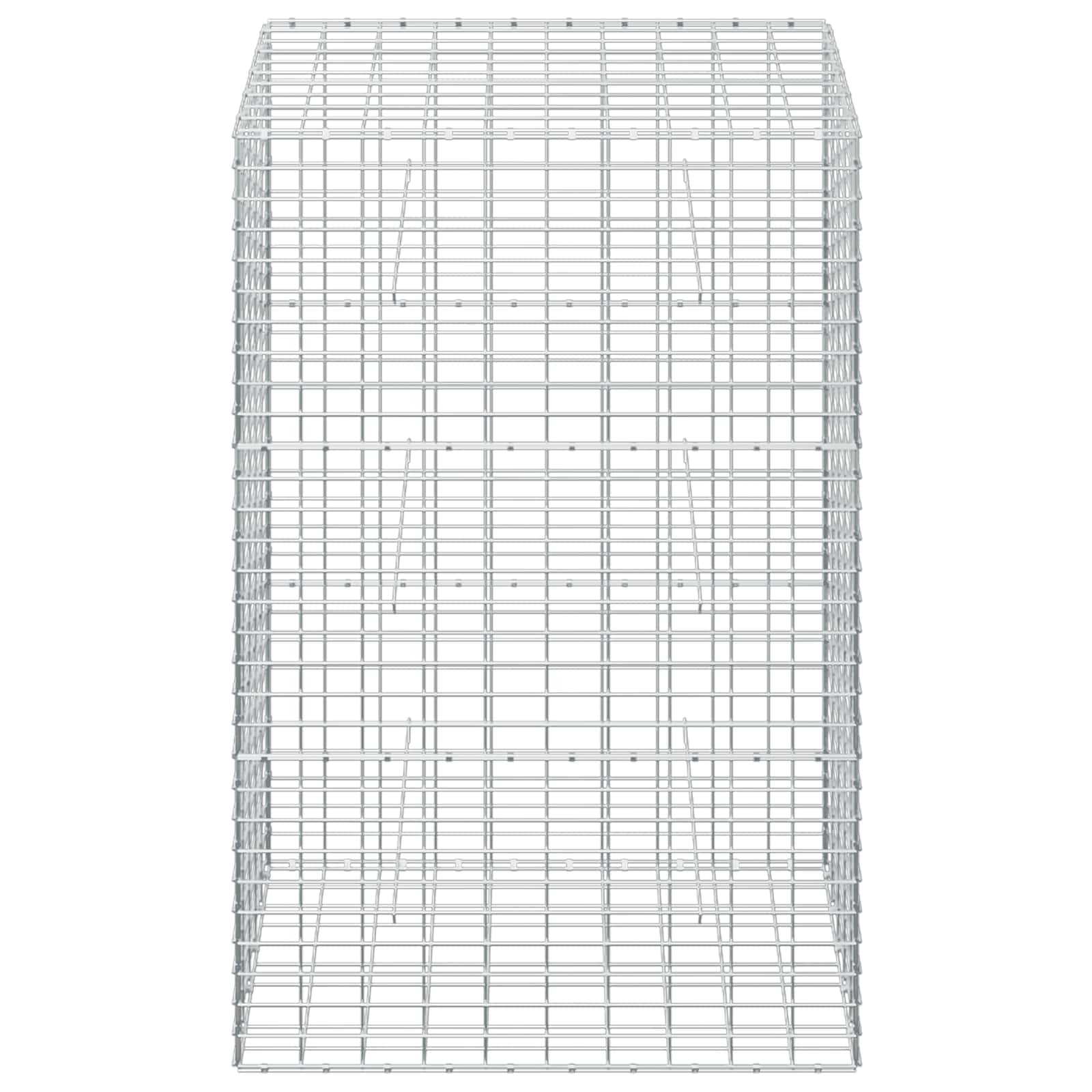 Gabion z žico 5 mm in mrežo 5x10 cm 50x100x150 cm