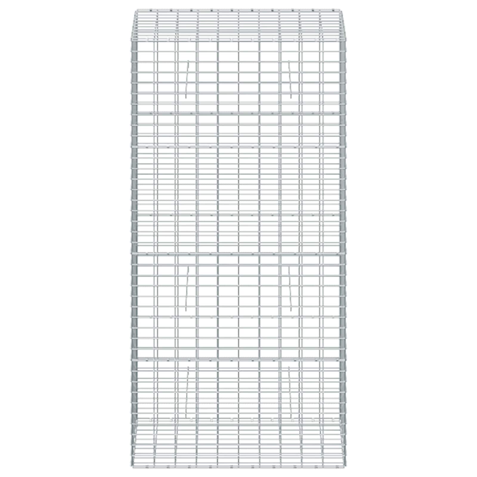 Gabion z žico 5 mm in mrežo 5x10 cm 50x100x200 cm