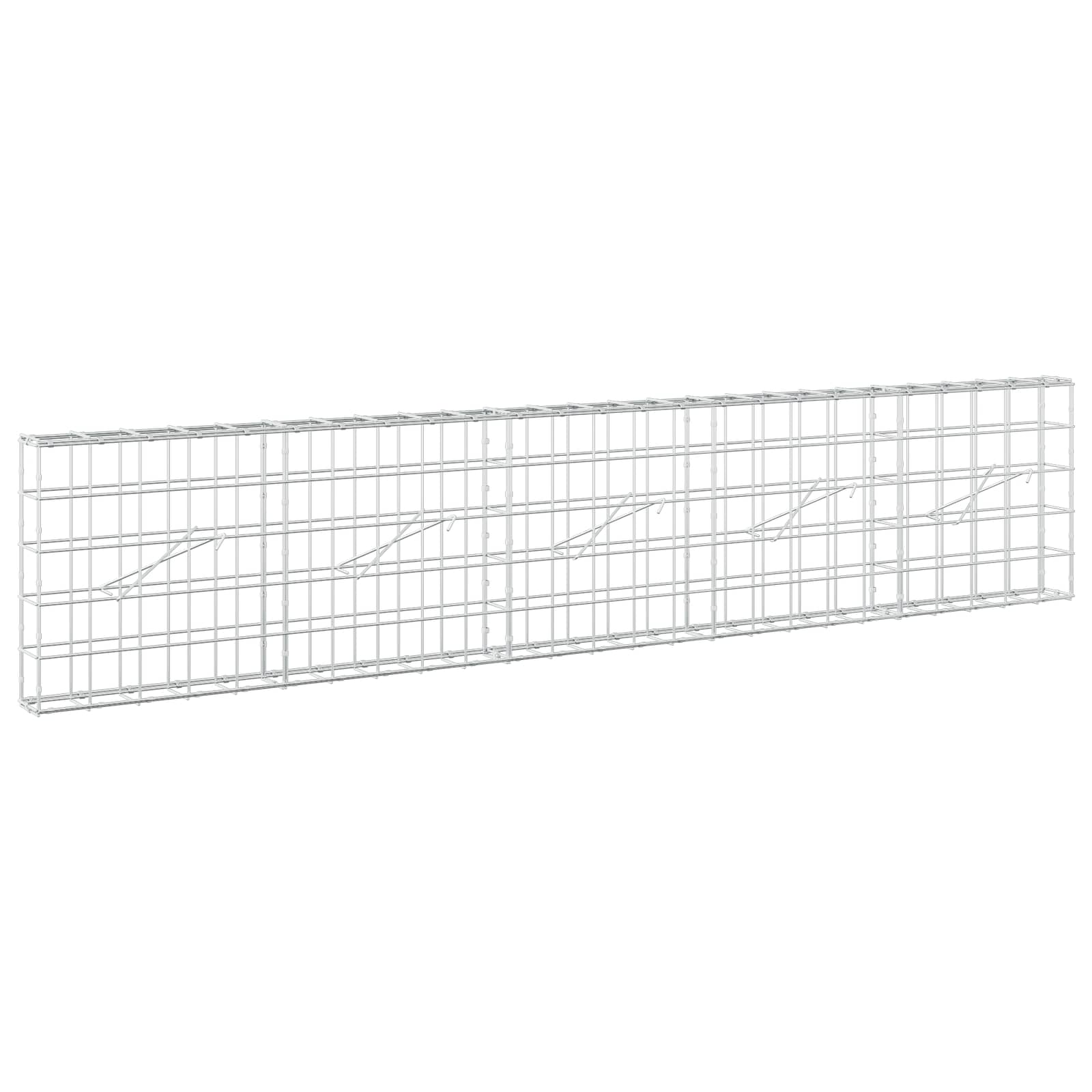 Gabion z žico 5 mm in mrežo 10x10 cm 250x10x50 cm