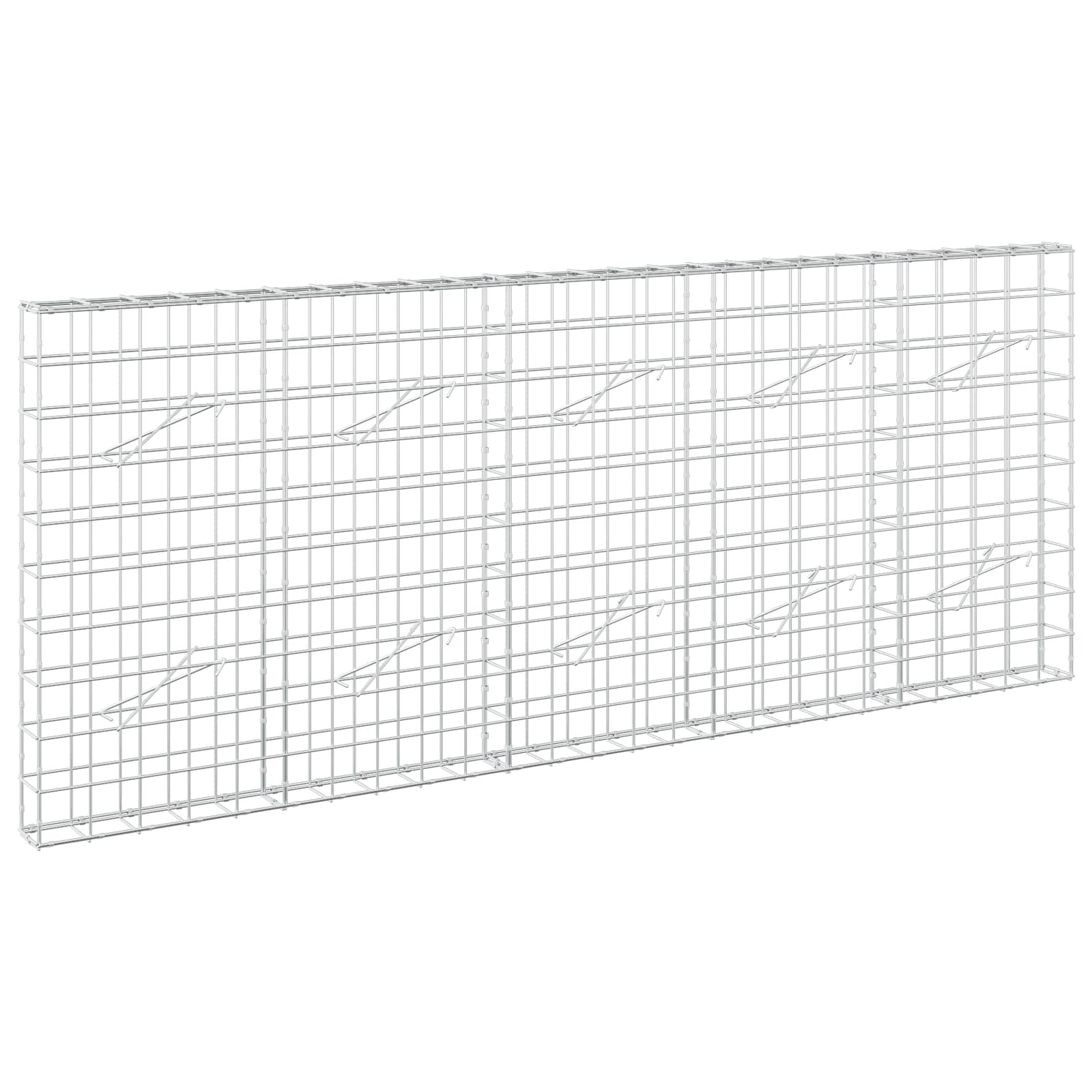 vidaXL Gabion s drátem 5 mm a síťkou 10x10 cm 250x10x100 cm