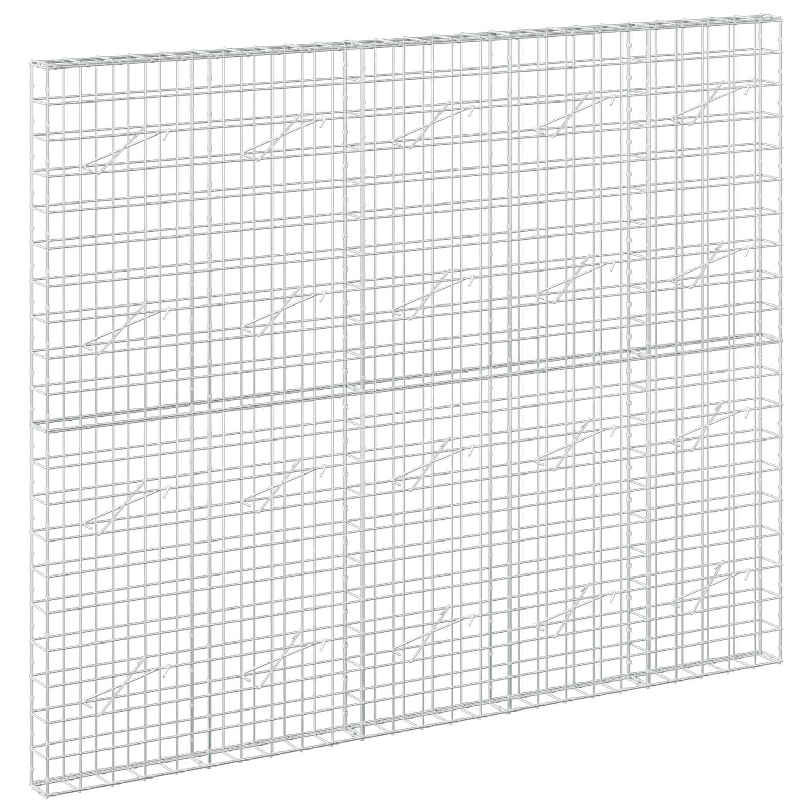 Gabion z žico 5 mm in mrežo 10x10 cm 250x10x200 cm