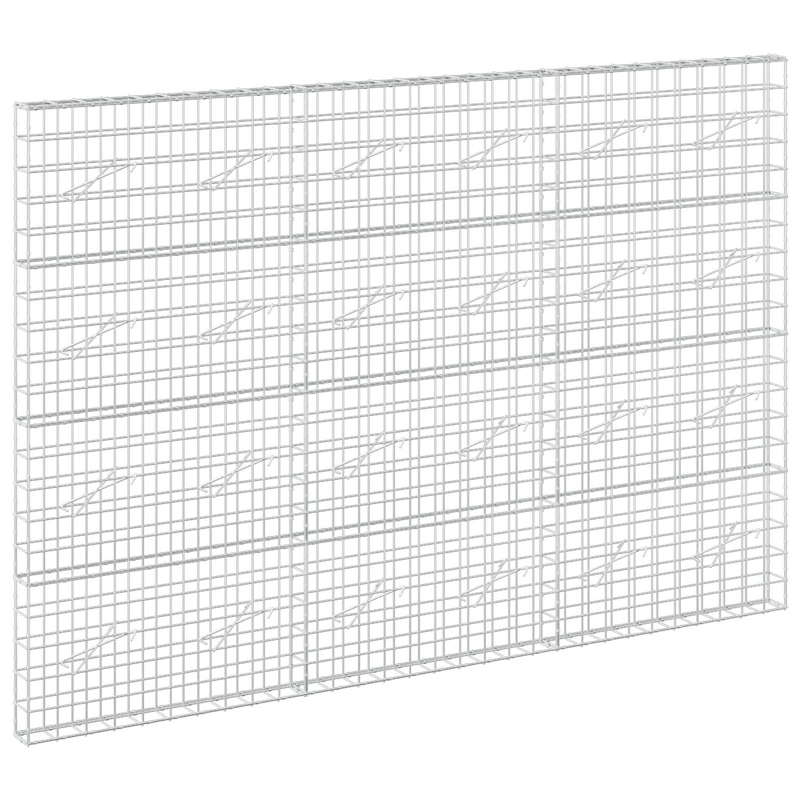Gabion z žico 5 mm in mrežo 10x10 cm 300x10x200 cm