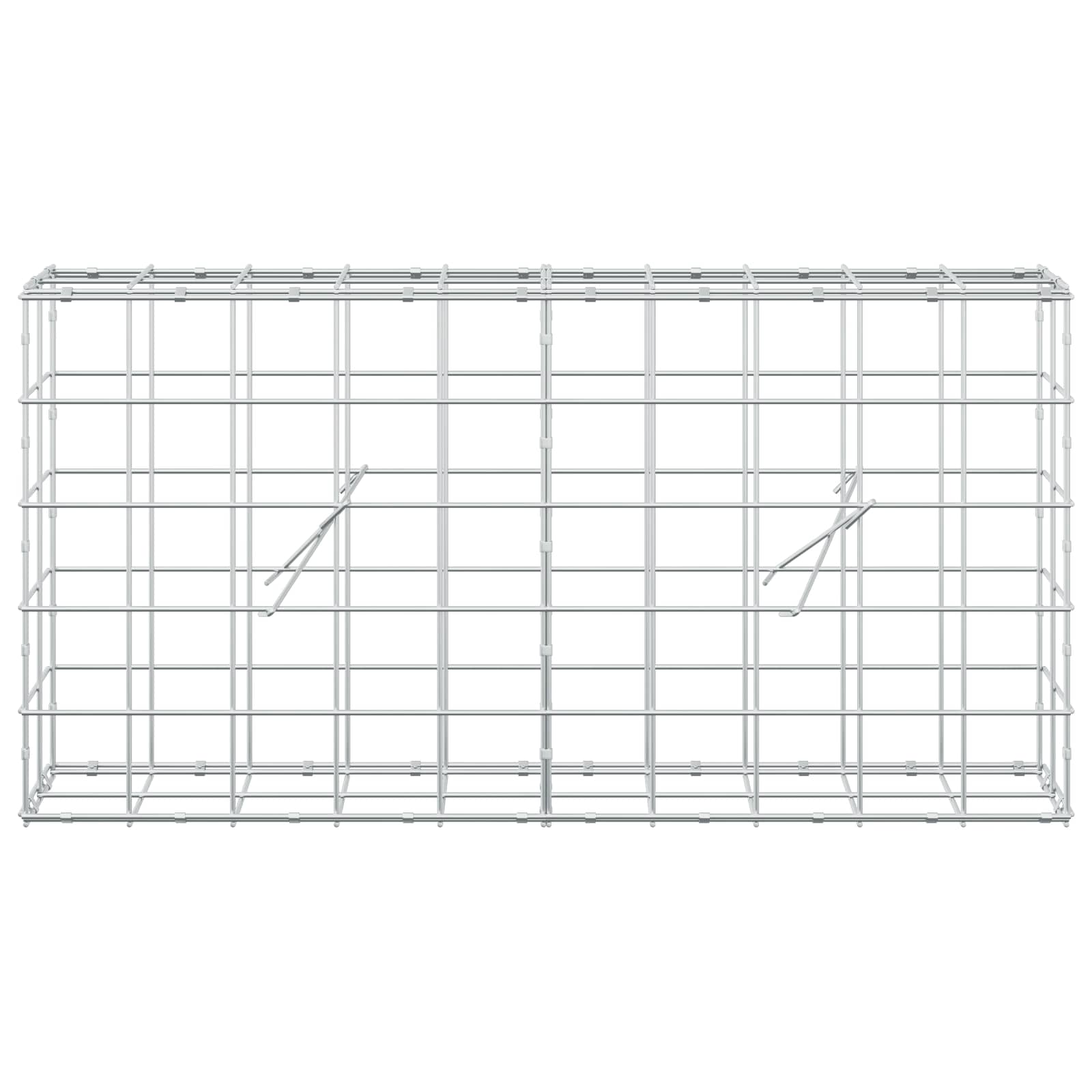 Gabion z žico 5 mm in mrežo 10x10 cm 100x20x50 cm