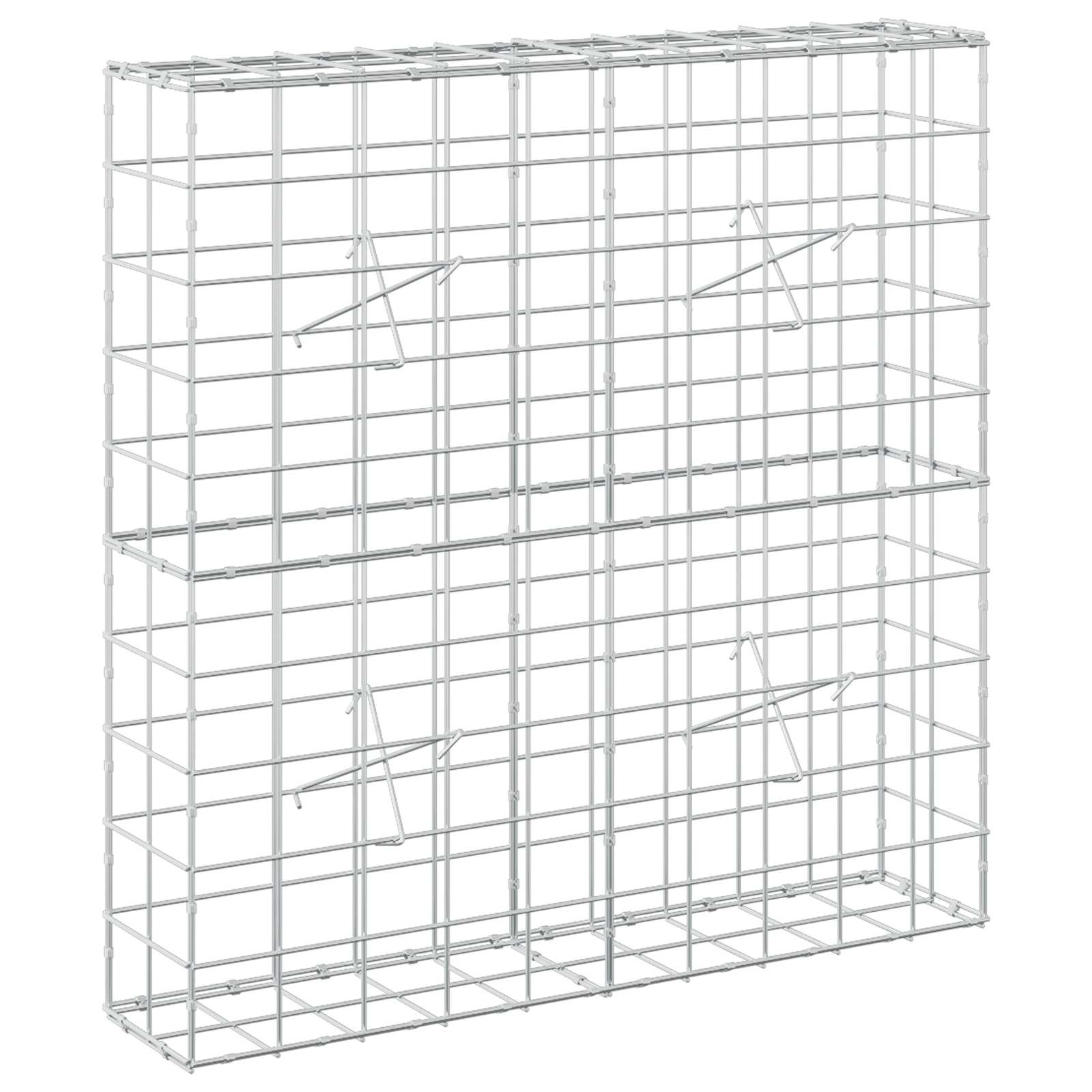 Gabion z žico 5 mm in mrežo 10x10 cm 100x20x100 cm