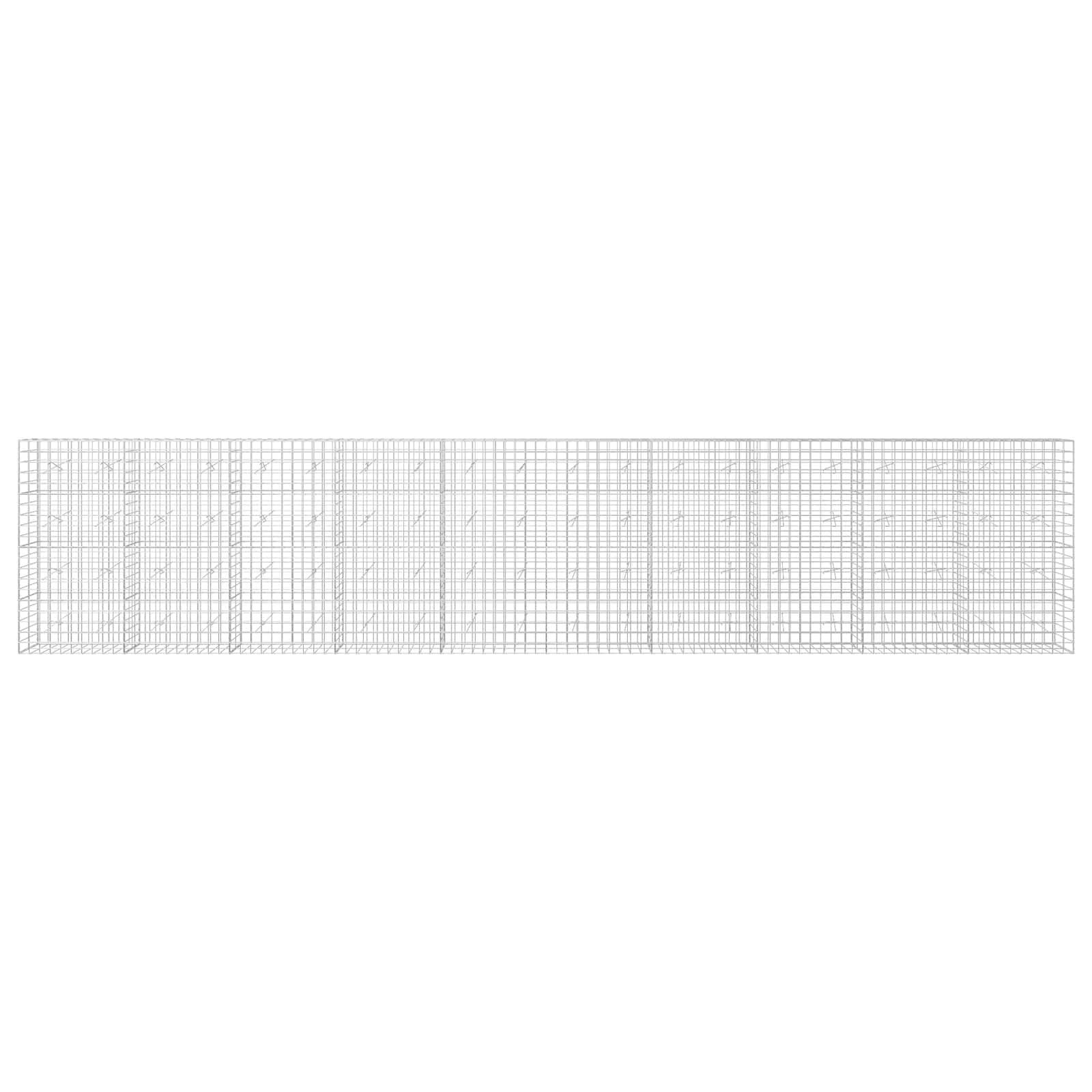 Gabion z žico 5 mm in mrežo 10x10 cm 1000x20x200 cm