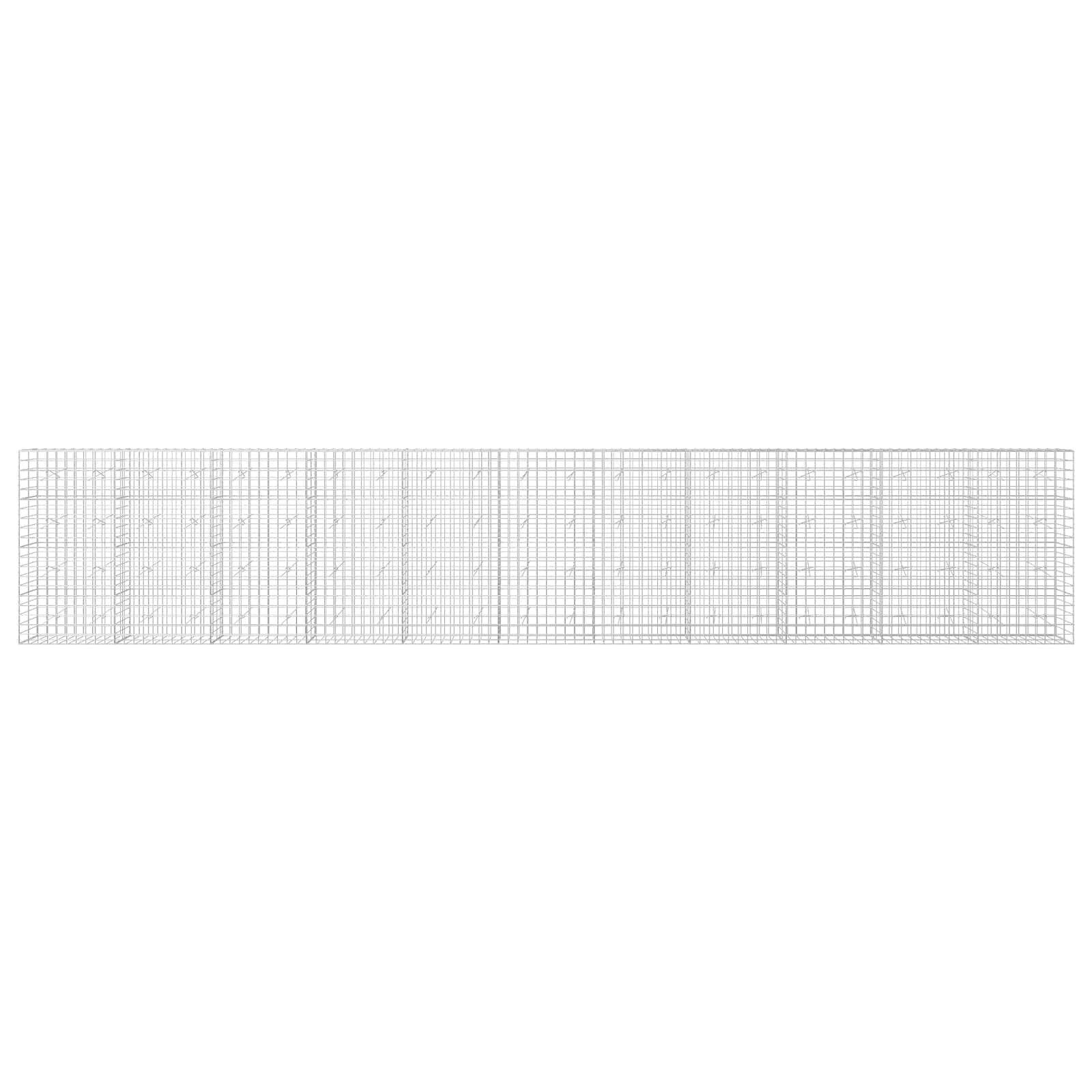Gabion z žico 5 mm in mrežo 10x10 cm 1100x20x200 cm