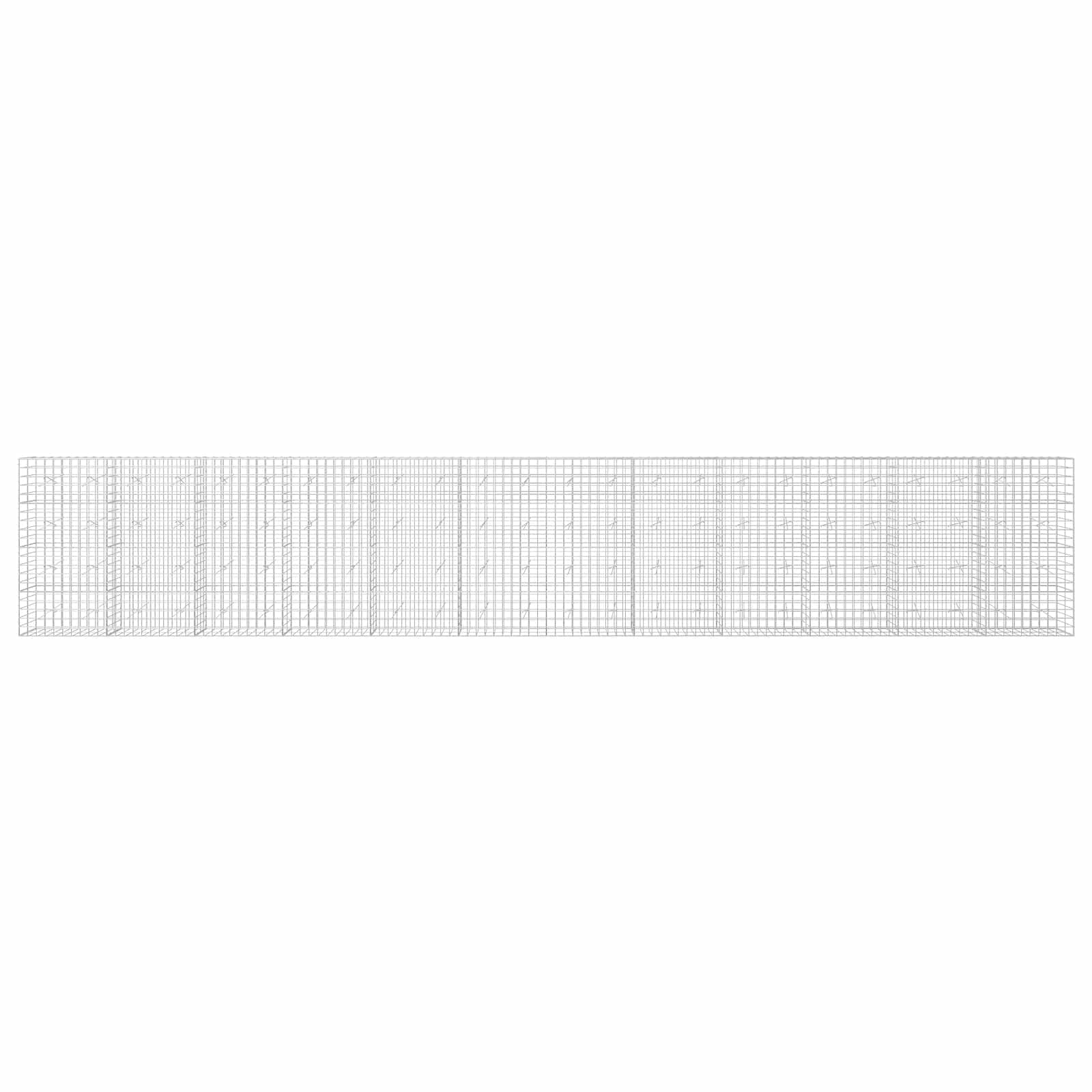 Gabion z žico 5 mm in mrežo 10x10 cm 1200x20x200 cm