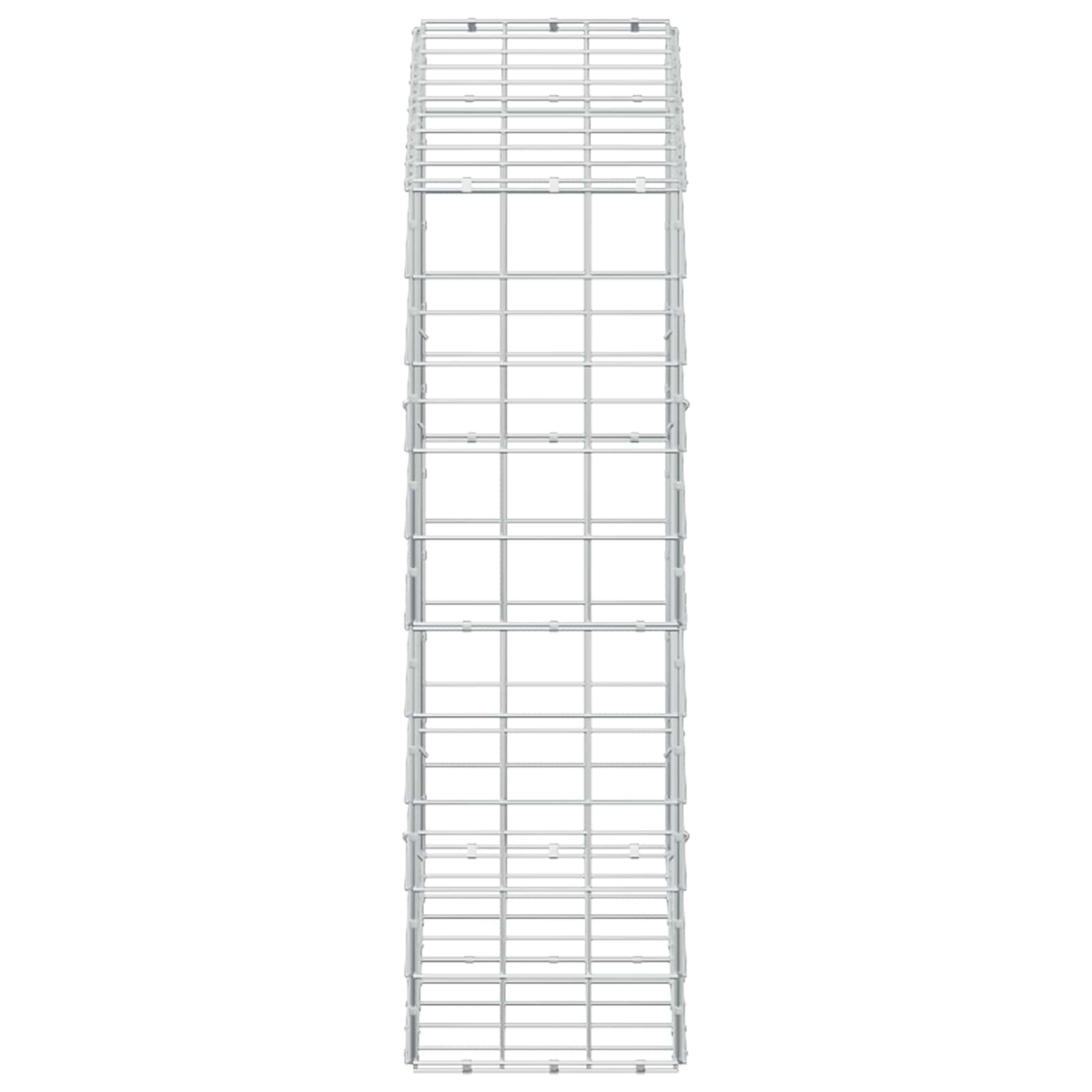 Gabion z žico 5 mm in mrežo 10x10 cm 100x30x100 cm