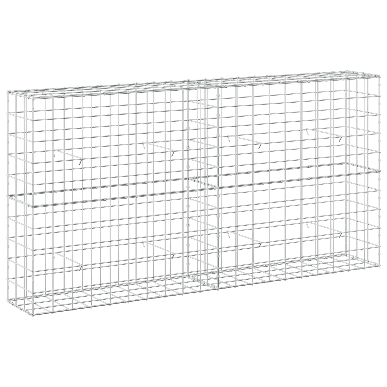 Gabion z žico 5 mm in mrežo 10x10 cm 200x30x100 cm