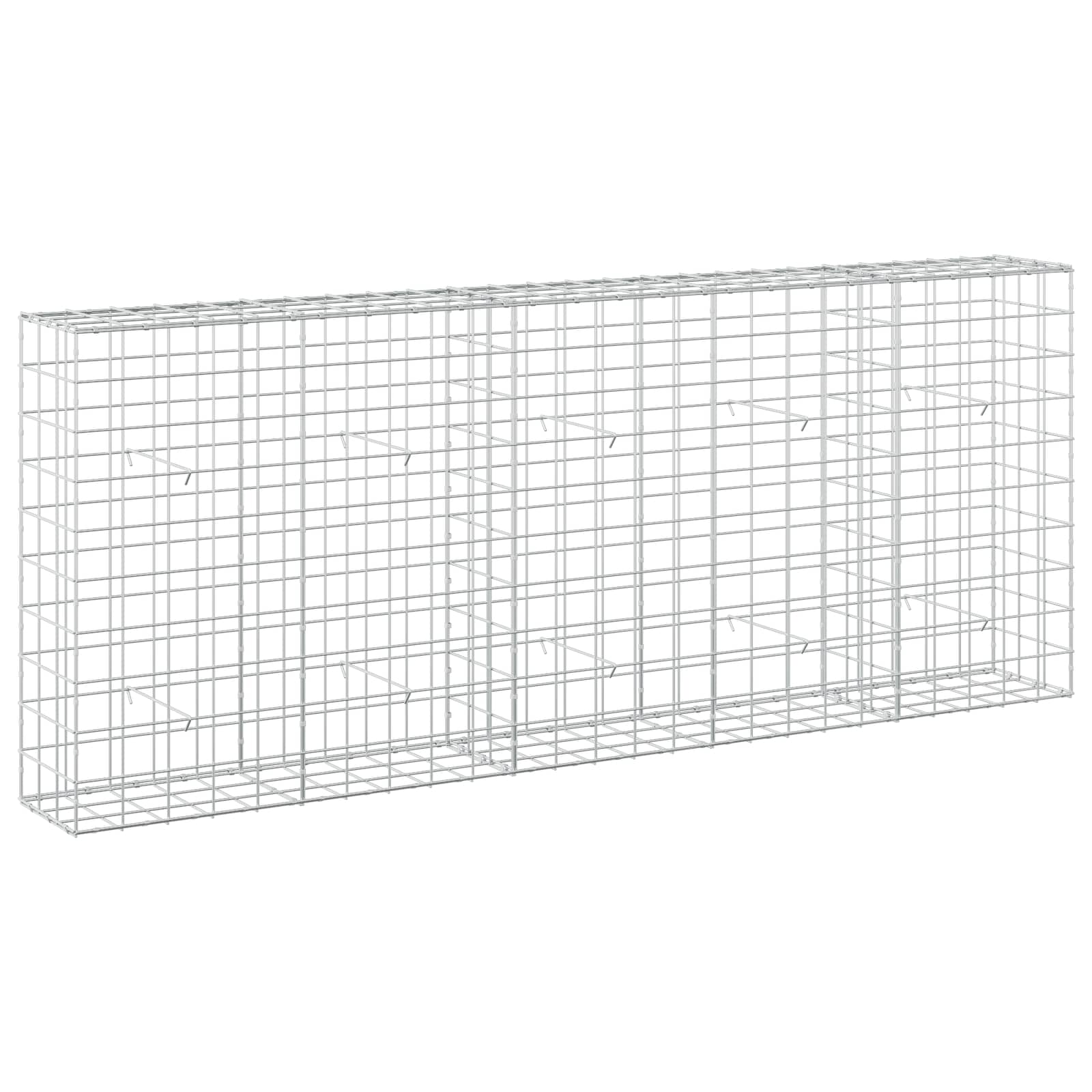 vidaXL Gabion s drátem 5 mm a síťkou 10x10 cm 250x30x100 cm