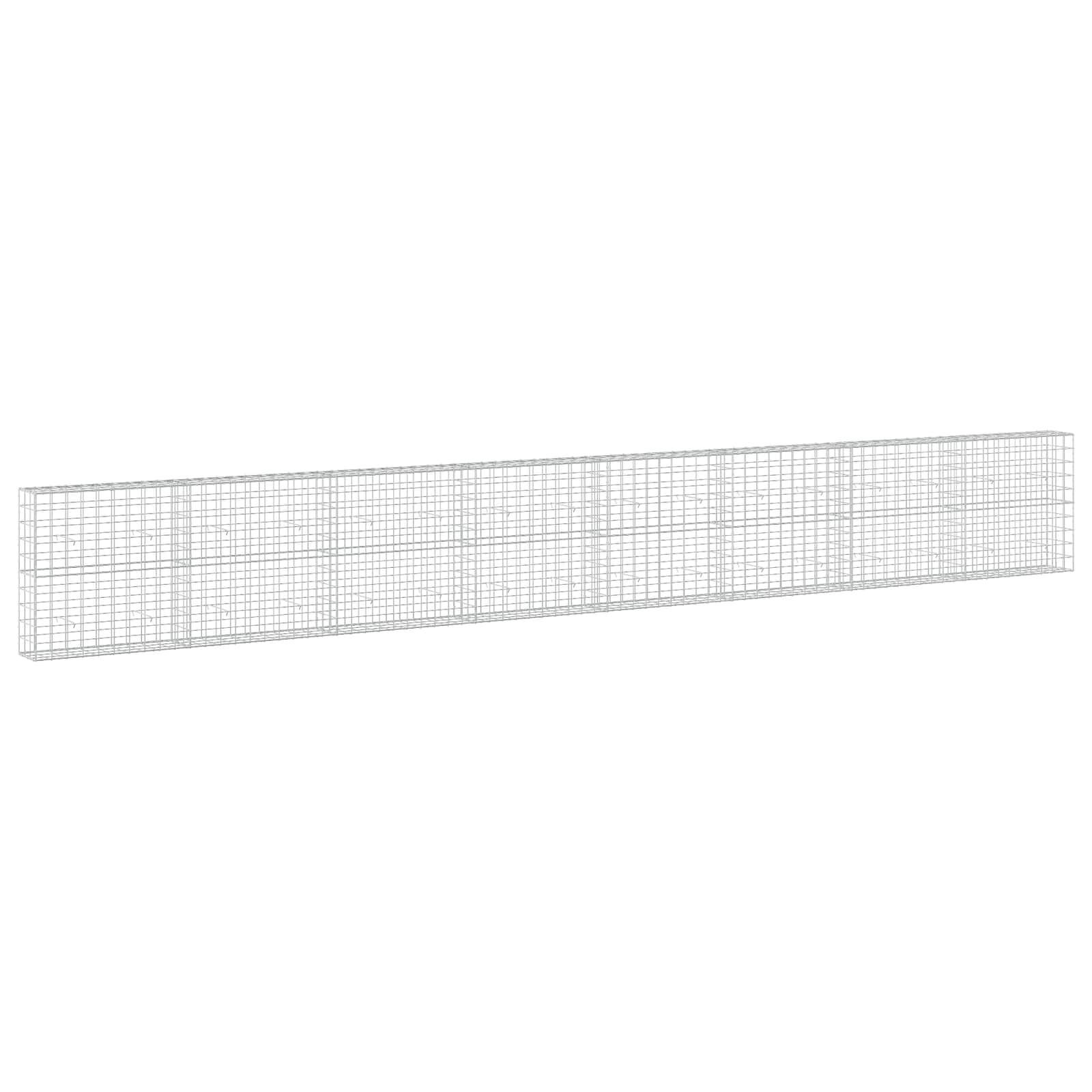 Gabion z žico 5 mm in mrežo 10x10 cm 800x30x100 cm